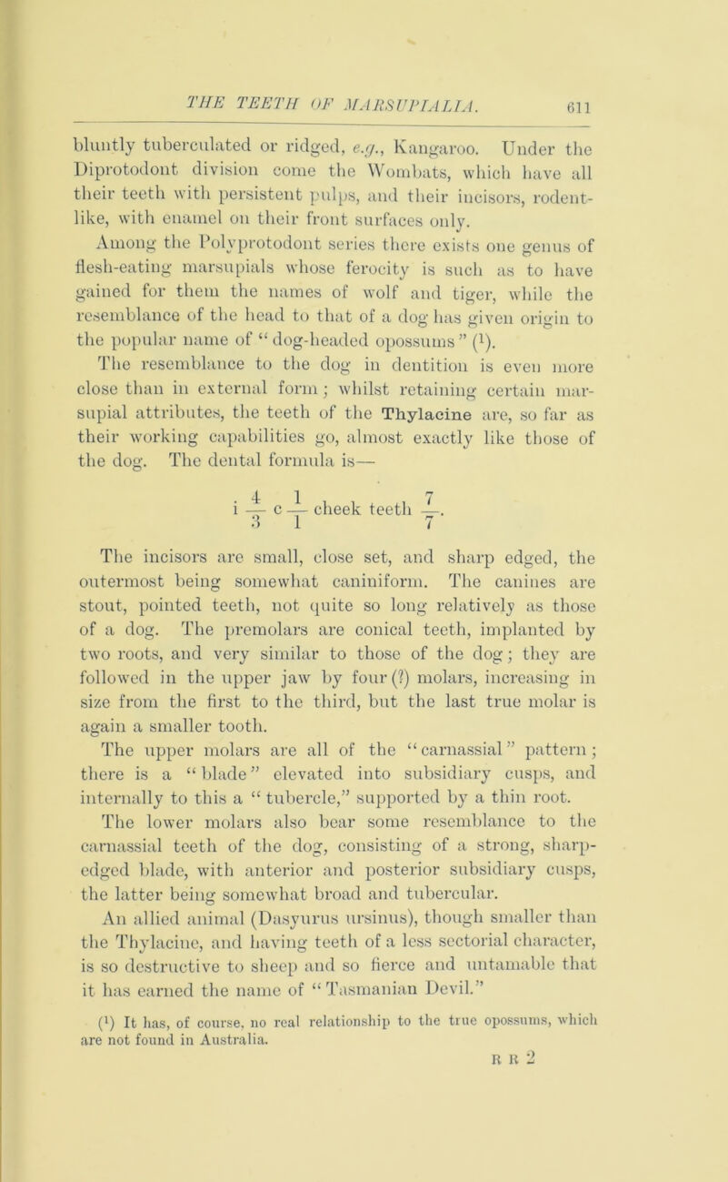 bluntly tuberculated or ridged, e.g., Kangaroo. Under the Diprotodont division come the Wombats, which have all their teeth with persistent pulps, and their incisors, rodent- like, with enamel on their front surfaces only. Among the Polvprotodont series there exists one genus of flesh-eating marsupials whose ferocity is such as to have gained for them the names of wolf and tiger, while the resemblance of the head to that of a dog has given origin to the popular name of “dog-headed opossums” (*). The resemblance to the dog in dentition is even more close than in external form; whilst retaining certain mar- supial attributes, the teeth of the Thylacine are, so far as their working capabilities go, almost exactly like those of the dog. The dental formula is— i — c — cheek teeth —. 3 1 7 The incisors are small, close set, and sharp edged, the outermost being somewhat caniniform. The canines are stout, pointed teeth, not quite so long relatively as those of a dog. The premolars are conical teeth, implanted by two roots, and very similar to those of the dog; they are followed in the upper jaw by four (?) molars, increasing in size from the first to the third, but the last true molar is again a smaller tooth. The upper molars are all of the “carnassial” pattern; there is a “ blade ” elevated into subsidiary cusps, and internally to this a “ tubercle,” supported by7 a thin root. The lower molars also bear some resemblance to the carnassial teeth of the dog, consisting of a strong, sharp- edged blade, with anterior and posterior subsidiary cusps, the latter being somewhat broad and tubercular. An allied animal (Dasyurus ursinus), though smaller than the Thylacine, and having teeth of a less sectorial character, is so destructive to sheep and so fierce and untamable that it has earned the name of “Tasmanian Devil. ’ (i) It lias, of course, no real relationship to the true opossums, which are not found in Australia. rb2
