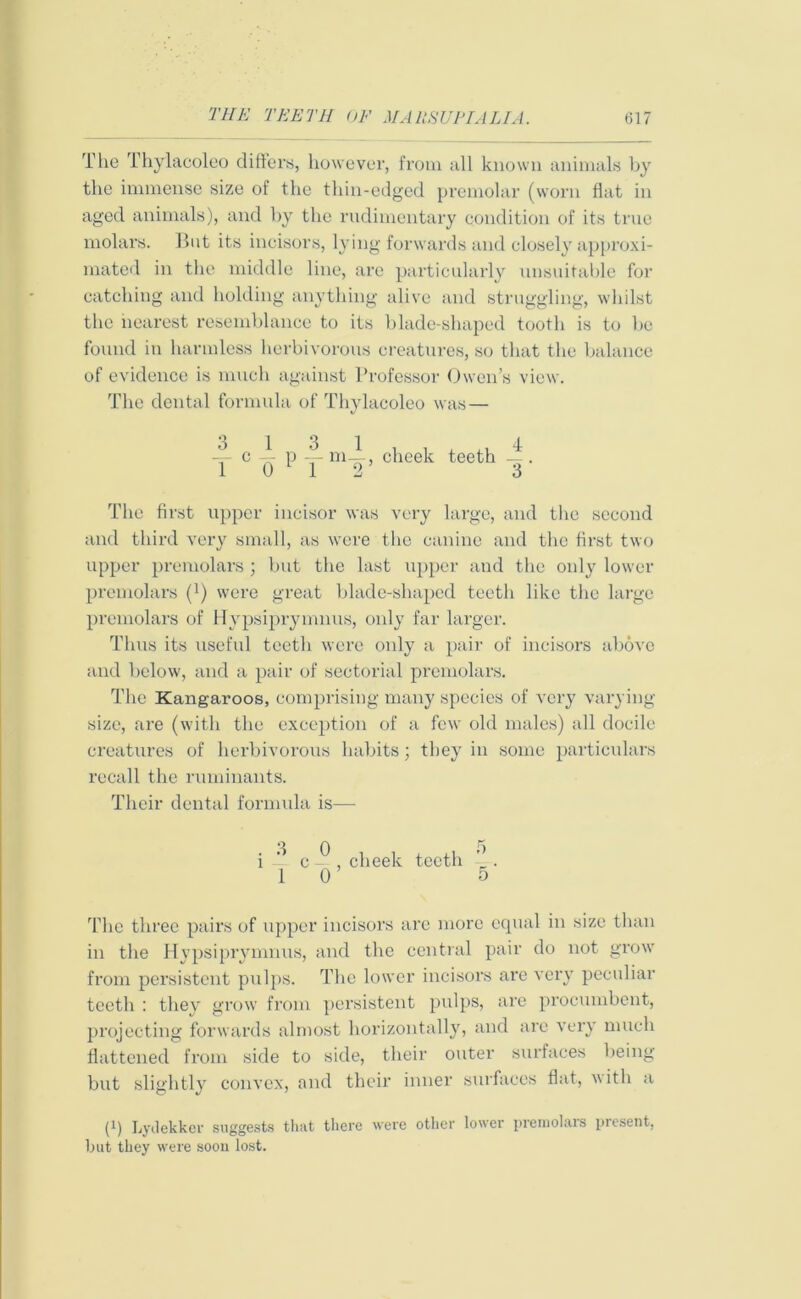 The Thylacoleo differs, however, from all known animals by the immense size of the thin-edged premolar (worn flat in aged animals), and by the rudimentary condition of its true molars. But its incisors, lying forwards and closely approxi- mated in the middle line, are particularly unsuitable for catching and holding anything alive and struggling, whilst the nearest resemblance to its blade-shaped tooth is to be found in harmless herbivorous creatures, so that the balance of evidence is much against Professor Owen’s view. The dental formula of Thylacoleo was— The first upper incisor was very large, and the second and third very small, as were the canine and the first two upper premolars ; but the last upper and the only lower premolars (!) were great blade-shaped teeth like the large premolars of Hypsiprymnus, only far larger. Thus its useful teeth were only a pair of incisors above and below, and a pair of sectorial prcmolars. The Kangaroos, comprising many species of very varying size, are (with the exception of a few old males) all docile creatures of herbivorous habits; they in some particulars recall the ruminants. Their dental fornnda is— The three pairs of upper incisors arc more equal in size than in the Hypsiprymnus, and the central pair do not grow from persistent pulps. The lower incisors are very peculiar teeth : they grow from persistent pulps, are procumbent, projecting forwards almost horizontally, and arc very much flattened from side to side, their outer surfaces being but slightly convex, and their inner surfaces flat, with a (!) Lydekker suggests that there were other lower prernolars present, but they were soon lost. 3 1 c 0 0