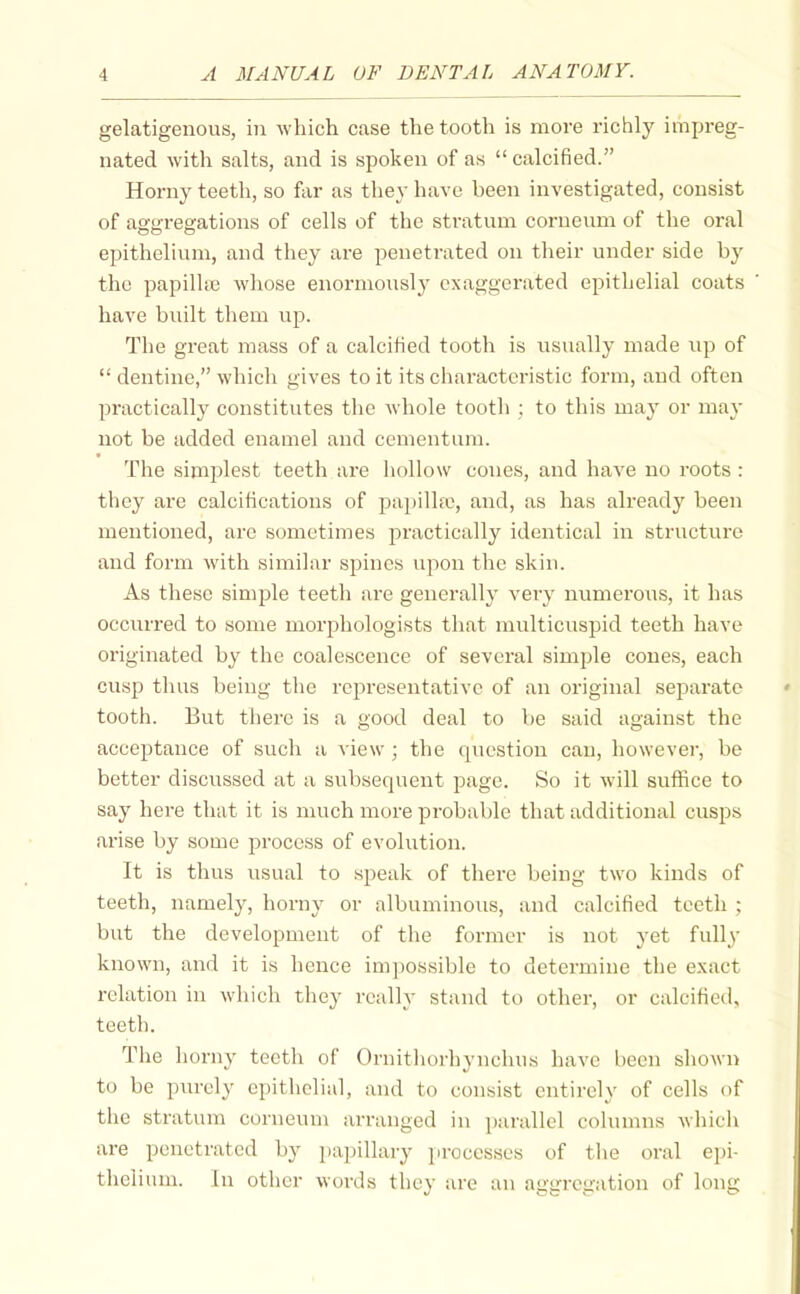 gelatigenous, in which case the tooth is move richly imin-eg- nated with salts, and is spoken of as  calcified. Horny teeth, so far as they have been investigated, consist of ao'o regations of cells of the stratum corneum of the oral epithelium, and they are penetrated on their under side by the papillic whose enormouslj' exaggerated epithelial coats have built them up. The great mass of a calcihed tooth is usually made up of  dentine, which gives to it its characteristic form, and often practically constitutes the whole tooth ; to this may or may not be added enamel and cementum. The simplest teeth are hollow cones, and have no roots : they are calcifications of pa})illR}, and, as has already been mentioned, are sometimes practically identical in structure and form with similar spines upon the skin. As these simple teeth are generally veiy numerous, it has occurred to some morphologists that multicuspid teeth have originated by the coalescence of several simple cones, each cusp thus being the rej^resentativc of an original separate tooth. But there is a good deal to be said against the acceptance of such a view ; the question can, however, be better discussed at a subsequent page. So it will suffice to say here that it is much more probable that additional cusps arise by some process of evolution. It is thus usual to speak of there being two kinds of teeth, namely, horny or albuminous, and calcified teeth ; but the development of the former is not yet fully known, and it is hence impossible to determine the exact relation in which they really stand to other, or calcified, teeth. The horny teeth of Ornithorhynchus have been shown to be purely epithelial, and to consist entirely of cells of the stratum corneum arranged in parallel columns which are penetrated by luipillary processes of the oral epi- thelium. In other words they are an aggregation of long