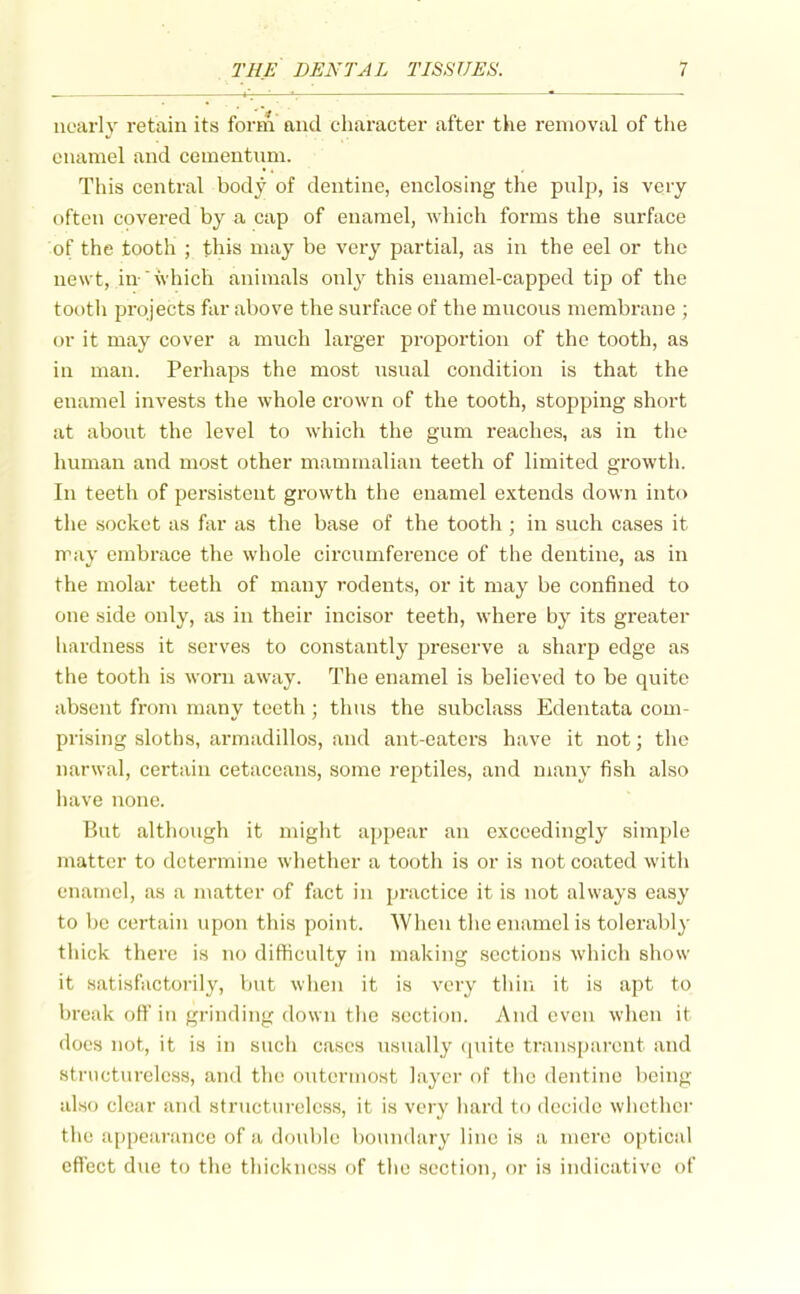 nearly retain its form and character after the removal of the enamel and cementnm. This central bod j of dentine, enclosing the pnlp, is very often covered by a cap of enamel, which forms the surface of the tooth ; this may be very partial, as in the eel or the newt, in-which animals onl}'this enamel-capped tip of the tooth projects far above the surface of the mucous membrane ; or it may cover a much larger proportion of the tooth, as in man. Perhaps the most usual condition is that the enamel invests the whole crown of the tooth, stopping short at about the level to which the gum reaches, as in the human and most other mammalian teeth of limited growth. In teeth of persistent growth the enamel extends down into the .socket as far as the base of the tooth ; in such cases it rray embrace the whole circumference of the dentine, as in the molar teeth of many rodents, or it may be confined to one side only, as in their incisor teeth, where by its greater hardness it serves to constantly preserve a sharp edge as the tooth is worn away. The enamel is believed to be quite absent from many teeth ; thus the subclass Edentata com- prising sloths, armadillos, and ant-eaters have it not; the narwal, certain cetaceans, some reptiles, and many fish also have none. But although it might appear an exceedingly simple matter to determine whether a tooth is or is not coated witli enamel, as a matter of fact in practice it is not always easy to be certain upon this point. When the enamel is tolerably thick there is no difficulty in making sections which show it .satisfactorily, but when it is very tliiri it is apt to break off in grinding down the section. And even when it does not, it is in such cases usually ([uite transparent and structureless, and the outermost layer of the dentine being also clear and structureless, it is very hard to decide whether the appearance of a double boundary line is a mere optical effect due to the thickness of the section, or is indicative of