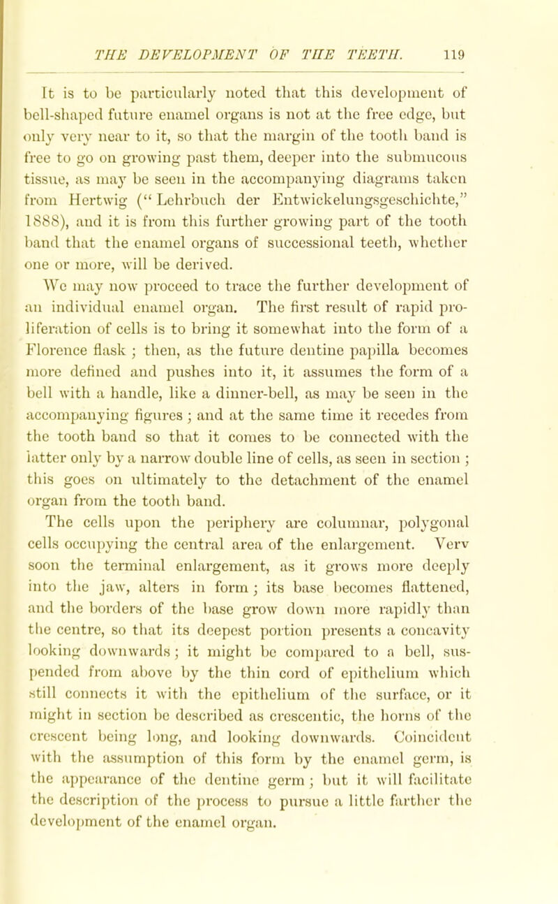 It is to be particularly noted that this development of bell-shaped future enamel organs is not at the free edge, but only very near to it, so that the margin of the tootli band is free to go on growing past them, deeper into the submucous tissue, as may be seen in the accompanying diagrams taken from Hertwig ( Lehrbuch der Entwickelungsgeschichte, 1888), and it is from this further growing part of the tooth band that the enamel organs of successional teeth, whether one or more, will be derived. We may now proceed to trace the further development of an individual enamel organ. The first result of rapid jiro- liferation of cells is to bring it somewhat into the form of a Florence flask ; then, as the future dentine papilla becomes moi'e defined and pushes into it, it assumes the form of a bell with a handle, like a dinner-bell, as may be seen in the accompanying figures; and at the same time it recedes from the tooth band so that it comes to be connected with the latter only by a narrow double line of cells, as seen in section ; this goes on ultimately to the detachment of the enamel organ from the tooth band. The cells upon the periphery are columnar, polygonal cells occupying the central ai'ea of the enlargement. Verv soon the terminal enlargement, as it grows more deeply into the jaw, alters in form; its base l)ecomes flattened, and the borders of the base grow down more rapidly than tlie centre, so that its deepest portion presents a concavity looking downwards ; it might be compared to a bell, sus- pended from above by the thin cord of epithelium which still connects it with the epithelium of the surface, or it might in section be described as crescentic, the horns of the crescent being long, and looking downwards. Coincident with the assumption of this form by the enamel germ, is the appearance of the dentine germ ; but it will facilitate the description of the process to pursue a little farther the development of the enamel organ.