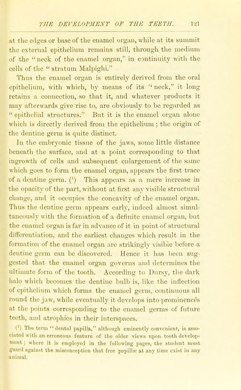 at the edges or base of the enamel organ, while at its summit the external epithelium remains still, through tlie medium of the  neck of the enamel organ, in contimiity witli the cells of the  stratum Malpighi. Thus the enamel organ is entirely derived from the oral epithelium, with which, by means of its  neck, it long retains a connection, so that it, and whatever products it may afterwards give rise to, are obviously to be regarded as  epithelial structures. But it is the enamel organ alone which is directly derived from the epithelium; tlie origin of the dentine germ is quite distinct. In tlie embryonic tissue of the jaws, some little distance beneath the surface, and at a point corresponding to that ingrowth of cells and subsequent enlargement of the same which goes to form the enamel organ, a2)pears the first trace of a dentine gei'm. (') This appears as a mere increase in the opacity of the part, without at first any visible structural change, and it occupies the concavity of the enamel organ. Thus the dentine germ appears early, indeed almost simul- taneously with the formation of a definite enamel organ, but the enamel organ is far in advance of it in point of structural diffei-entiation, and the earliest changes which result in the formation of the enamel organ arc strikingly visible before a dentine germ can be discovered. Hence it has been sug- gested that the enamel organ governs and determines the ultimate form of the tooth. According to Dursy, tlie dark halo which becomes the dentine bulb is, like the inflection of epithelium which forms the enamel germ, continuous all round the jaw, while eventually it develops into prominences at the points corresponding to the enamel germs of future teeth, aud atrophies in their interspaces. (') The term dental papilla, altlidngli eminently convenient, is asso- ciated with an erroneous feature of the older views ujion tooth develop- ment ; where it is employed in the following pages, the student must guard against the misconception that free papilla) at any time exist in any animal.