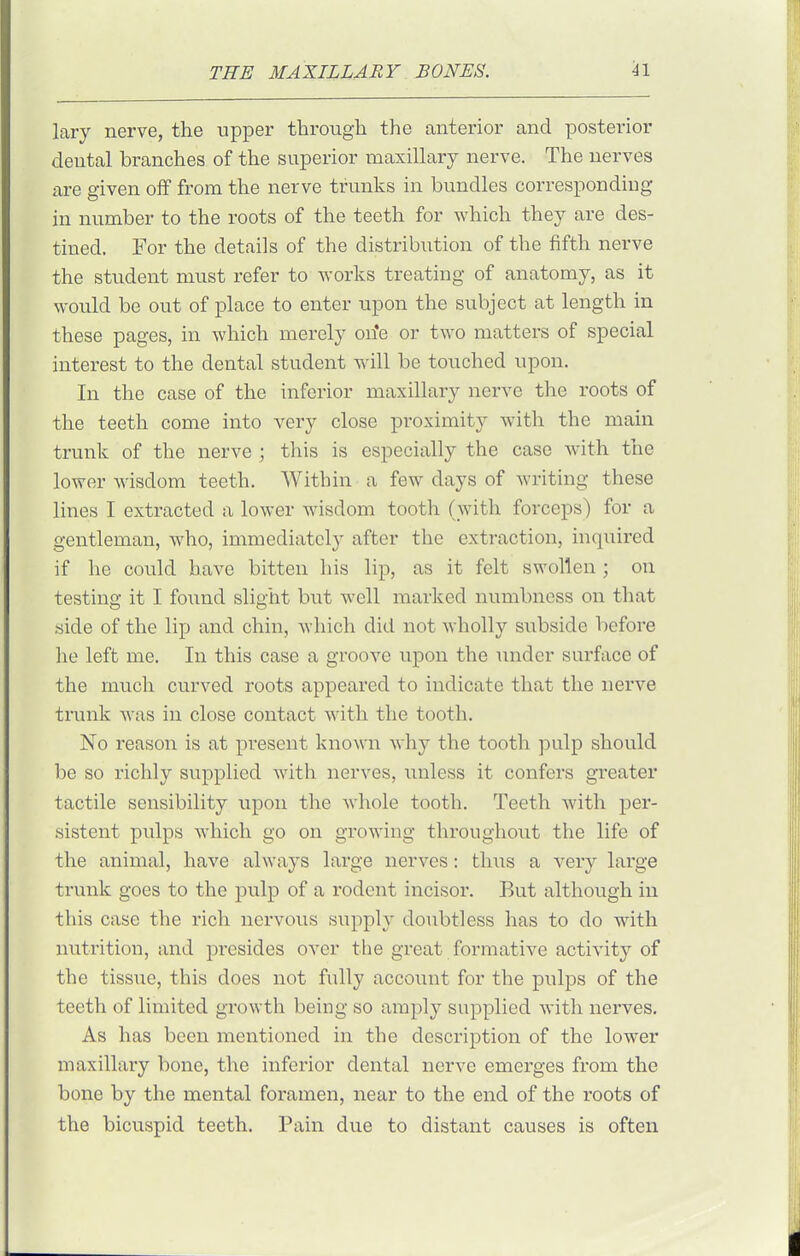 lary nerve, the upper through the anterior and posterior dental branches of the superior maxillary nerve. The nerves are given off from the nerve trunks in bundles corresponding in number to the roots of the teeth for which they are des- tined. For the details of the distribution of the fifth nerve the student must refer to works treating of anatomy, as it would be out of place to enter upon the subject at length in these pages, in which merely on*e or two matters of special interest to the dental student will be touched upon. In the case of the inferior maxillary nerve the roots of the teeth come into very close proximity with the main trunk of the nerve ; this is especially the case with the lower wisdom teeth. Within a few days of writing these lines I extracted a lower wisdom tooth (with forceps) for a gentleman, who, immediately after the extraction, inquired if he could have bitten his lip, as it felt swollen ; on testing it I found slight but well marked numbness on that side of the lip and chin, which did not wholly subside before he left me. In this case a groove upon the under surface of the much curved roots appeared to indicate that the nerve trunk was in close contact with the tooth. No reason is at pi-esent known why the tooth pulp should be so richly supplied with nerves, unless it confers greater tactile sensibility upon the whole tooth. Teeth with per- sistent pulps which go on growing throughout the life of the animal, have always large nerves: thus a very large trunk goes to the pulp of a rodent incisor. But although in this case the rich nervous supply doubtless has to do with nutrition, and presides over the great formative activity of the tissue, this does not fnlly account for the pulps of the teeth of limited growth being so amply supplied with nerves. As has been mentioned in the description of the lower maxillary bone, the inferior dental nerve emei'ges from the bone by the mental foramen, near to the end of the I'oots of the bicuspid teeth. Pain due to distant causes is often