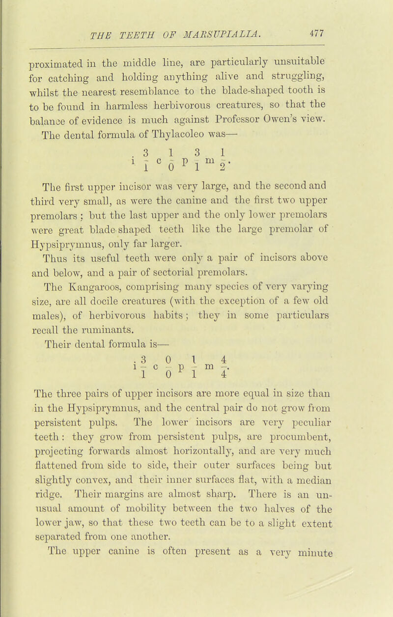 proximated in the middle line, are particularly unsuitable for catcliing and holding anything alive and struggling, whilst the nearest resemblance to the blade-shaped tooth is to be found in harmless herbivorous creatures, so that the balance of evidence is much against Professor Owen's view. The dental formula of Thylacoleo was— .3131 ^ i ^ 0 P 1^^2- The first upper incisor was very large, and the second and third very small, as were the canine and the first two upper premolars : but the last upper and the only lower premolars were great blade-shaped teeth like the large premolar of Hypsiprymnus, only far larger. Thus its useful teeth were only a pair of incisors above and below, and a pair of sectorial premolars. The Kangaroos, comprising many species of very varying size, are all docile creatures (with the exception of a few old males), of herbivoroiis habits; they in some particulars recall the ruminants. Their dental formula is— .3014 1 - c - p - m 1 0^1 4 The three pairs of upper incisors are more equal in size than in the Hypsiprymnus, and the central pair do not grow from persistent pulps. The lower incisors are very peculiar teeth : they grow from persistent pulps, are procumbent, projecting forwards almost horizontally, and are very much flattened from side to side, their outer surfaces being but slightly convex, and their inner surfaces flat, with a median ridge. Their margins are almost sharp. There is an un- Tisual amount of mobility between the two halves of the lower jaw, so that these two teeth can be to a slight extent separated from one another. The upper canine is often present as a very minute