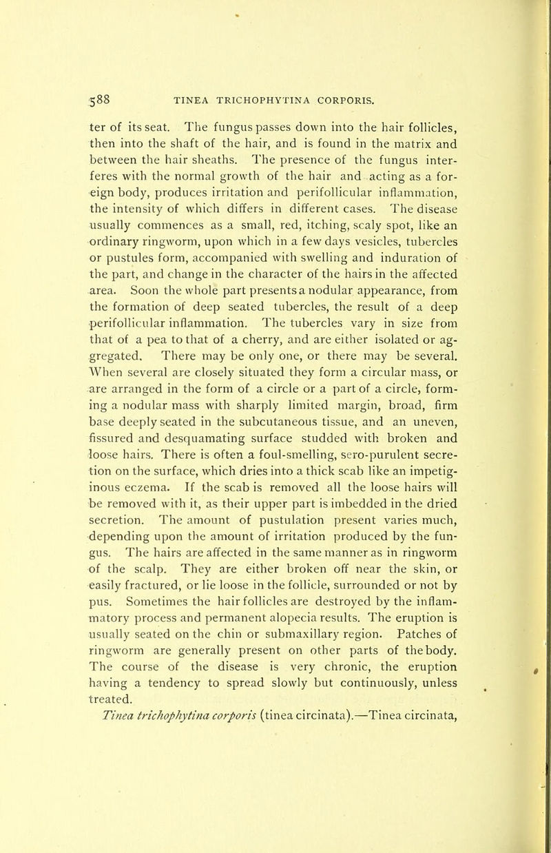 ter of its seat. The fungus passes down into the hair folHcles, then into the shaft of the hair, and is found in the matrix and between the hair sheaths. The presence of the fungus inter- feres with the normal growth of the hair and acting as a for- eign body, produces irritation and perifollicular inflammation, the intensity of which differs in different cases. The disease usually commences as a small, red, itching, scaly spot, like an ordinary ringworm, upon which in a few days vesicles, tubercles or pustules form, accompanied with swelling and induration of the part, and change in the character of the hairs in the affected area. Soon the whole part presents a nodular appearance, from the formation of deep seated tubercles, the result of a deep perifollicular inflammation. The tubercles vary in size from that of a pea to that of a cherry, and are either isolated or ag- gregated. There may be only one, or there may be several. When several are closely situated they form a circular mass, or are arranged in the form of a circle or a part of a circle, form- ing a nodular mass with sharply limited margin, broad, firm base deeply seated in the subcutaneous tissue, and an uneven, fissured and desquamating surface studded with broken and loose hairs. There is often a foul-smelling, sero-purulent secre- tion on the surface, which dries into a thick scab like an impetig- inous eczema. If the scab is removed all the loose hairs will be removed with it, as their upper part is imbedded in the dried secretion. The amount of pustulation present varies much, depending upon the amount of irritation produced by the fun- gus. The hairs are affected in the same manner as in ringworm of the scalp. They are either broken off near the skin, or easily fractured, or lie loose in the follicle, surrounded or not by pus. Sometimes the hair follicles are destroyed by the inflam- matory process and permanent alopecia results. The eruption is usually seated on the chin or submaxillary region. Patches of ringworm are generally present on other parts of the body. The course of the disease is very chronic, the eruption having a tendency to spread slowly but continuously, unless treated. Tinea trichophytina corporis (tinea circinata).—Tinea circinata,
