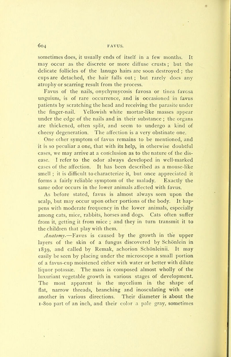 sometimes does, it usually ends of itself in a few months. It may occur as the discrete or more diffuse crusts ; but the delicate follicles of the lanugo hairs are soon destroyed ; the cups are detached, the hair falls out ; but rarely does any atrophy or scarring result from the process. Favus of the nails, onychymycosis favosa or tinea favosa unguium, is of rare occurrence, and is occasioned in favus patients by scratching the head and receiving the parasite under the finger-nail. Yellowish white mortar-like masses appear under the edge of the nails and in their substance ; the organs are thickened, often split, and seem to undergo a kind of cheesy degeneration. The affection is a very obstinate one. One other symptom of favus remains to be mentioned, and it is so peculiar a one, that with its help, in otherwise doubtful cases, we may arrive at a conclusion as to the nature of the dis- ease. I refer to the odor always developed in well-marked cases of the affection. It has been described as a mouse-like smell ; it is difficult to characterize it, but once appreciated it forms a fairly reliable symptom of the malady. Exactly the same odor occurs in the lower animals affected with favus. As before stated, favus is almost always seen upon the scalp, but may occur upon other portions of the body. It hap- pens with moderate frequency in the lower animals, especially among cats, mice, rabbits, horses and dogs. Cats often suffer from it, getting it from mice ; and they in turn transmit it to the children that play with them. Anatomy.—Favus is caused by the growth in the upper layers of the skin of a fungus discovered by Schonlein in 1839, and called by Remak, achorion Schonleinii. It may easily be seen by placing under the microscope a small portion of a favus-cup moistened either with water or better with dilute liquor potassse. The mass is composed almost wholly of the luxuriant vegetable growth in various stages of development. The most apparent is the mycelium in the shape of flat, narrow threads, branching and inosculating with one another in various directions. Their diameter is about the 1-800 part of an inch, and their color a pale gray, sometimes