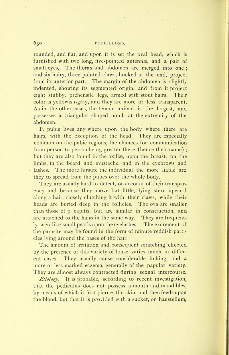 rounded, and flat, and upon it is set the oval head, which is furnished with two long, five-pointed antennse, and a pair of small eyes. The thorax and abdomen are merged into one ; and six hairy, three-pointed claws, hooked at the end, project from its anterior part. The margin of the abdomen is slightly indented, showing its segmented origin, and from it project eight stubby, prehensile legs, armed with stout hairs. Their color is yellowish-gray, and they are more or less transparent. As in the other cases, the female animal is the largest, and possesses a triangular shaped notch at the extremity of the abdomen. P. pubis lives any where upon the body where there are hairs, with the exception of the head. They are especially common on the pubic regions, the chances for communication from person to person being greater there (hence their name) ; but they are also found in the axillae, upon the breast, on the limbs, in the beard and mustache, and in the eyebrows and lashes. The more hirsute the individual the more liable are they to spread from the pubes over the whole body. They are usually hard to detect, on account of their transpar- ency and because they move but little, lying stern upward along a hair, closely clutching it with their claws, while their heads are buried deep in the follicles. The ova are smaller than those of p. capitis, but are similar in construction, and are attached to the hairs in the same way. They are frequent- ly seen like small pearls upon the eyelashes. The excrement of the parasite may be found in the form of minute reddish parti- cles lying around the bases of the hair. The amount of irritation and consequent scratching effected by the presence of this variety of louse varies much in differ- ent cases. They usually cause considerable itching, and a more or less marked eczema, generally of the papular variety. They are almost always contracted during sexual intercourse. Etiology.—It is probable, according to recent investigation, that the pediculus does not possess a mouth and mandibles, by means of which it first pierces the skin, and then feeds upon the blood, but that it is provided v/ith a sucker, or haustellum.