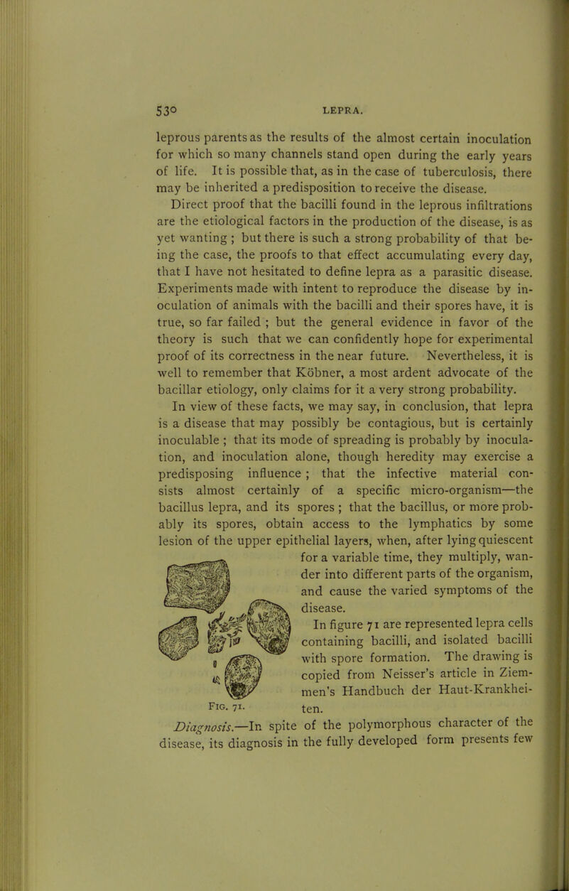 leprous parents as the results of the almost certain inoculation for which so many channels stand open during the early years of life. It is possible that, as in the case of tuberculosis, there may be inherited a predisposition to receive the disease. Direct proof that the bacilli found in the leprous infiltrations are the etiological factors in the production of the disease, is as yet wanting ; but there is such a strong probability of that be- ing the case, the proofs to that effect accumulating every day, that I have not hesitated to define lepra as a parasitic disease. Experiments made with intent to reproduce the disease by in- oculation of animals with the bacilli and their spores have, it is true, so far failed ; but the general evidence in favor of the theory is such that we can confidently hope for experimental proof of its correctness in the near future. Nevertheless, it is well to remember that Kobner, a most ardent advocate of the bacillar etiology, only claims for it a very strong probability. In view of these facts, we may say, in conclusion, that lepra is a disease that may possibly be contagious, but is certainly inoculable ; that its mode of spreading is probably by inocula- tion, and inoculation alone, though heredity may exercise a predisposing influence ; that the infective material con- sists almost certainly of a specific micro-organism—the bacillus lepra, and its spores ; that the bacillus, or more prob- ably its spores, obtain access to the lymphatics by some lesion of the upper epithelial layers, when, after lying quiescent for a variable time, they multiply, wan- der into different parts of the organism, and cause the varied symptoms of the disease. In figure 71 are represented lepra cells containing bacilli, and isolated bacilli with spore formation. The drawing is copied from Neisser's article in Ziem- men's Handbuch der Haut-Krankhei- Fig. 71- ten. Diagnosis—In spite of the polymorphous character of the disease, its diagnosis in the fully developed form presents few