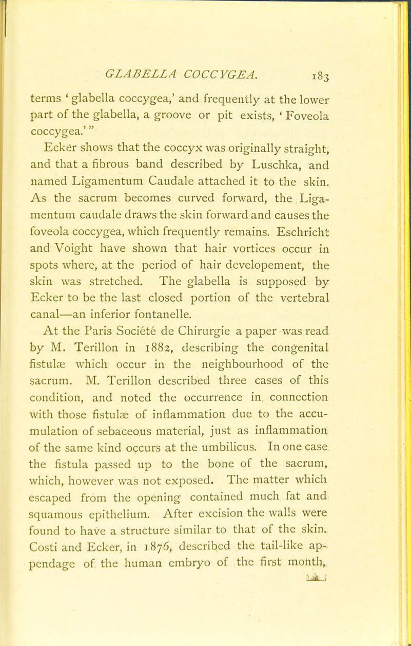 terms ' glabella coccygea,' and frequently at the lower part of the glabella, a groove or pit exists, ' Foveola coccygea.' Ecker shows that the coccyx was originally straight, and that a fibrous band described by Luschka, and named Ligamentum Caudale attached it to the skin. As the sacrum becomes curved forward, the Liga- mentum caudale draws the skin forward and causes the foveola coccygea, which frequently remains. Eschricht and Voight have shown that hair vortices occur in spots where, at the period of hair developement, the skin was stretched. The glabella is supposed by Ecker to be the last closed portion of the vertebral canal—an inferior fontanelle. At the Paris Societe de Chirurgie a paper was read by M. Terillon in 1882, describing the congenital fistula; which occur in the neighbourhood of the sacrum. M. Terillon described three cases of this condition, and noted the occurrence in, connection with those fistulse of inflammation due to the accu- mulation of sebaceous material, just as inflammation of the same kind occurs at the umbilicus. In one case the fistula passed up to the bone of the sacrum, which, however was not exposed. The matter which escaped from the opening contained much fat and squamous epithelium. After excision the walls were found to have a structure similar to that of the skin. Costi and Ecker, in 1876, described the tail-like ap- pendage of the human embryo of the first month,