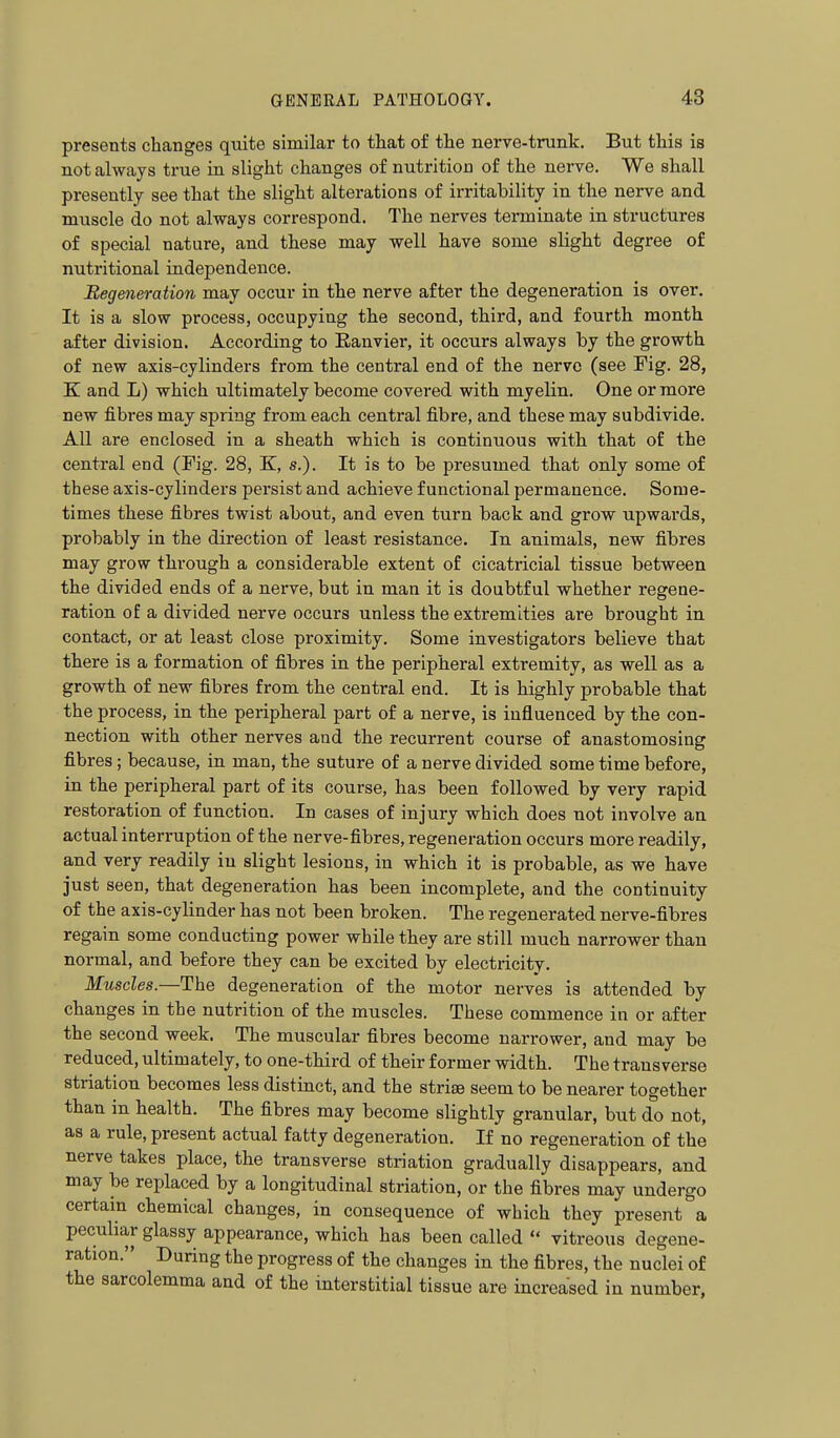 presents changes quite similar to that of the nerve-trunk. But this is not always true in slight changes of nutrition of the nerve. We shall presently see that the slight alterations of irritability in the nerve and muscle do not always correspond. The nerves terminate in structures of special nature, and these may well have some slight degree of nutritional independence. Regeneration may occur in the nerve after the degeneration is over. It is a slow process, occupying the second, third, and fourth month after division. According to Ranvier, it occurs always by the growth of new axis-cylinders from the central end of the nerve (see Fig. 28, K and L) which ultimately become covered with myelin. One or more new fibres may spring from each central fibre, and these may subdivide. All are enclosed in a sheath which is continuous with that of the central end (Fig. 28, K, s.). It is to be presumed that only some of these axis-cylinders persist and achieve functional permanence. Some- times these fibres twist about, and even turn back and grow upwards, probably in the direction of least resistance. In animals, new fibres may grow through a considerable extent of cicatricial tissue between the divided ends of a nerve, but in man it is doubtful whether regene- ration of a divided nerve occurs unless the extremities are brought in contact, or at least close proximity. Some investigators believe that there is a formation of fibres in the peripheral extremity, as well as a growth of new fibres from the central end. It is highly probable that the process, in the peripheral part of a nerve, is influenced by the con- nection with other nerves and the recurrent course of anastomosing fibres; because, in man, the suture of a nerve divided some time before, in the peripheral part of its course, has been followed by very rapid restoration of function. In cases of injury which does not involve an actual interruption of the nerve-fibres, regeneration occurs more readily, and very readily in slight lesions, in which it is probable, as we have just seen, that degeneration has been incomplete, and the continuity of the axis-cylinder has not been broken. The regenerated nerve-fibres regain some conducting power while they are still much narrower than normal, and before they can be excited by electricity. Muscles—TlhQ degeneration of the motor nerves is attended by changes in the nutrition of the muscles. These commence in or after the second week. The muscular fibres become narrower, and may be reduced, ultimately, to one-third of their former width. The transverse striation becomes less distinct, and the striae seem to be nearer together than in health. The fibres may become slightly granular, but do not, as a rule, present actual fatty degeneration. If no regeneration of the nerve takes place, the transverse striation gradually disappears, and may be rejjlaced by a longitudinal striation, or the fibres may undergo certain chemical changes, in consequence of which they present''a peculiar glassy appearance, which has been called  vitreous degene- ration. During the progress of the changes in the fibres, the nuclei of the sarcolemma and of the interstitial tissue are increased in number,