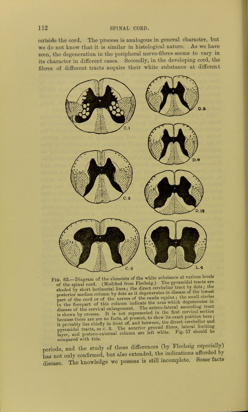 outside the cord. The process is analogous in general character, but we do not know that it is similar in histological nature. As we have seen, the degeneration in the peripheral nerve-fibres seems to vary in its character in different cases. Secondly, in the developing cord, the fibres of different tracts acquire their white substance at different Fig 63.—Diagram of the elements of the white substance at various evels of the spinal cord. (Modified from Flechsig.) Tlie pyramidal tracts are shaded by short horizontal lines ; the direct cerebe lar tract by dots; the posterior median column by dots as it degenerates m disease of the lowes part of the cord or of the nerves of the cauda equina; the small circles in the forepart of this column indicate the area which degenerates in disease of the cervical enlargement. The antero-lateral »««ending ract is shown by crosses. It is not represented in the first cervical section be an e thJre are are no facts, at present, to show its exac P0«'t>0 = it probably lies chiefly in front of. and between, the direct cerebe lar and pyramidal tracts, as C. 3. The anterior ground fibres lateral linnt.ng layer, and postero-external column are left white. F.g. 57 should be compared with this. periods and the study of these differences (by Flechsig especially) has not only confirmed, but also extended, the indications afforded by disease The knowledge we possess is still incomplete. Some facts