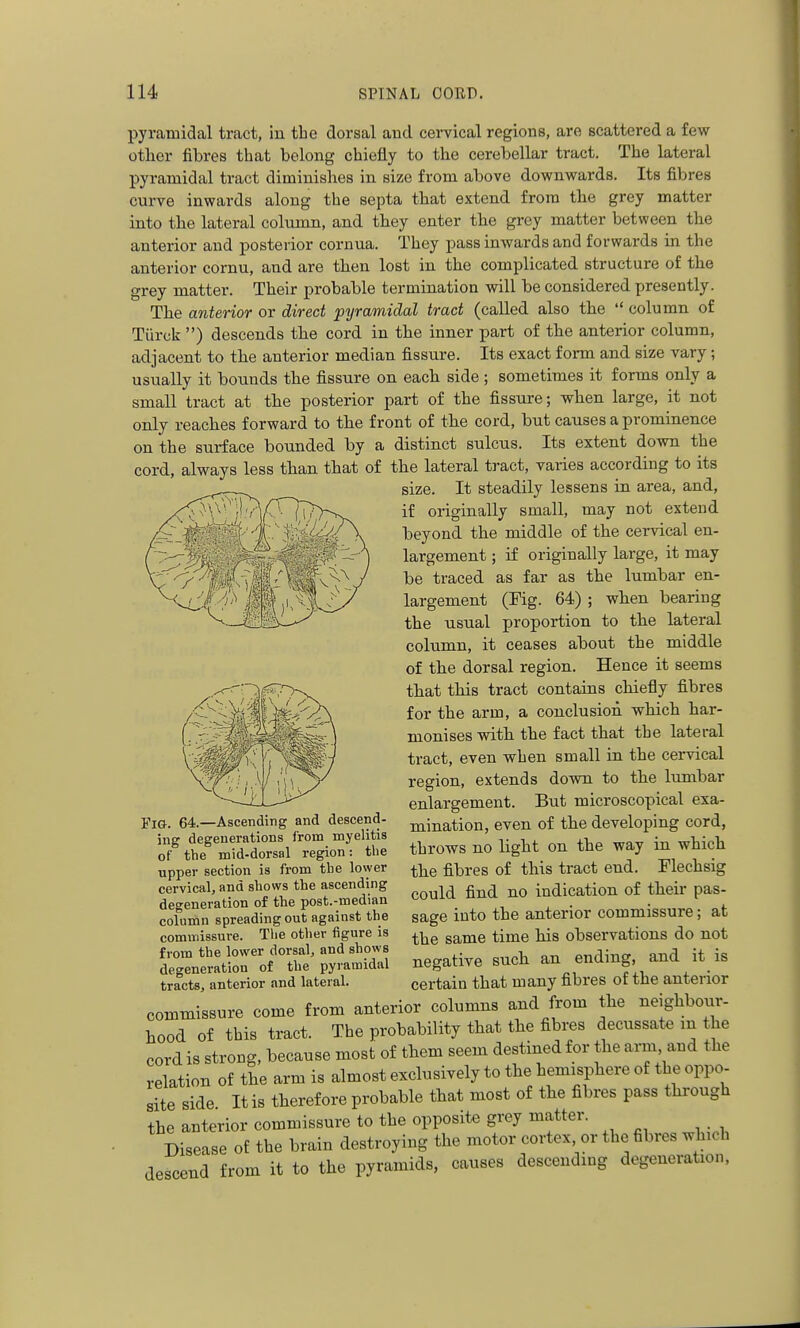 pyramidal tract, in the dorsal and cervical regions, are scattered a few other fibres that belong chiefly to the cerebellar tract. The lateral pyramidal tract diminishes in size from above downwards. Its fibres curve inwards along the septa that extend from the grey matter into the lateral column, and they enter the grey matter between the anterior and posterior cornua. They pass inwards and forwards in the anterior cornu, and are then lost in the complicated structure of the grey matter. Their probable termination will be considered presently. The anterior or direct pyramidal tract (called also the  column of Tiirck ) descends the cord in the inner part of the anterior column, adjacent to the anterior median fissure. Its exact form and size vary; usually it bounds the fissure on each side ; sometimes it forms only a small tract at the posterior part of the fissure; when large, it not only reaches forward to the front of the cord, but causes a prominence on the surface bounded by a distinct sulcus. Its extent down the cord, always less than that of the lateral tract, varies according to its size. It steadily lessens in area, and, if originally small, may not extend beyond the middle of the cervical en- largement ; if originally large, it may be traced as far as the lumbar en- largement (Fig. 64) ; when bearing the usual proportion to the lateral column, it ceases about the middle of the dorsal region. Hence it seems that this tract contains chiefly fibres for the arm, a conclusion which har- monises with the fact that the lateral tract, even when small in the cervical region, extends down to the lumbar enlargement. But microscopical exa- mination, even of the developing cord, throws no light on the way in which the fibres of this tract end. Flechsig could find no indication of their pas- sage into the anterior commissure; at the same time his observations do not negative such an ending, and it is certain that many fibres of the anterior commissure come from anterior columns and from the neighbour- hood of this tract. The probability that the fibres decussate m the cord is strong, because most of them seem destined for the arm and the relation of the arm is almost exclusively to the hemisphere of the oppo- site side It is therefore probable that most of the fibres pass through the anterior commissure to the opposite grey matter. Disease of the brain destroying the motor cortex, or the fibres which descend from it to the pyramids, causes descending degeneration. Fig. 64.—Ascending and descend- ing degenerations from myelitis of the mid-dorsal region: tlie upper section is from the lower cervical, and shows the ascending degeneration of the post.-median column spreading out against the commissure. The other figure is from the lower dorsal, and shows degeneration of the pyramidal tracts, anterior and lateral.