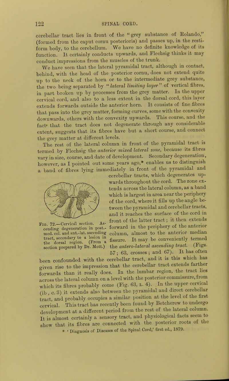 cerebellar tract lies in front of the grey substance of Rolando, (formed from the caput coruu posterioris) and passes up, in the resti- form body, to the cerebellum. We have no definite knowledge of its function. It certainly conducts upwards, and Flechsig thinks it may conduct impressions from the muscles of the trunk. We have seen that the lateral pyramidal tract, although in contact, behind, with the head of the posterior cornu, does not extend quite up to the neck of the horn or to the intermediate grey substance, the two being separated by ^'lateral Undting layer of vertical fibres, in part broken up by processes from the grey matter. In the upper cervical cord, and also to a less extent in the dorsal cord, this layer extends forwards outside the anterior horn. It consists of fine fibres that pass into the grey matter, forming curves, some with the convexity downwards, others with the convexity upwards. This course, and the fact' that the tract does not degenerate through any considerable extent, suggests that its fibres have but a short course, and connect the grey matter at different levels. The rest of the lateral column in frout of the pyramidal tract is termed by Flechsig the anterior mixed lateral zone, because its fibres vary in size, course, and date of development. Secondary degeneration, however, as I pointed out some years ago,* enables us to distinguish a band of fibres lying immediately in front of the pyramidal and cerebellar tracts, which degenerates up- wards throughout the cord. The zone ex- tends across the lateral column, as a band which is largest in area near the periphery of the cord, where it fiUs up the angle be- tween the pyramidal and cerebellar tracts, and it reaches the surface of the cord in . front of the latter tract; it then extends ^TenS^rg^nltS in poft^ forward in the periphery of the anterior med. col. and ant.-lat. ascending column, almost to the anterior median tract secondary to a lesion in j conveniently termed the dorsal region. (From a \ ' section prepared by Dr. Mott.) the antero-lateral ascending tract, (^i igs. 67 ; 63, crosses ; and 67). It has often been confounded with the cerebellar tract, and it is this which has given rise to the impression that the cerebellar tract extends farther forwards than it reallv does. In the lumbar region, the tract lies across the lateral column on a level with the posterior commissure, from which its fibres probably come (Fig. 63, l. 4). In the upper cervical (lb , c. 3) it extends also between the pyramidal and direct cerebellar tract, and probably occupies a similar position at the level of the first cervical. This tract has recently been found by Betcherew to undergo development at a different period from the rest of the lateral column. It is almost certainly a sensory tract, and physiological facts seem to show that its fibres are connected with the posterior roots of the » ' Diaguosis of Diseases of the Spinal Cord,' first cd., 1879.