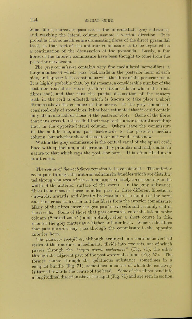 Some fibi-es, moreover, pass across tlie intermediate grey substance, aud, reacliiug tlie lateral column, assume a vertical direction. It is probable that some filjres are decussating fibres of the direct pyramidal tract, so tbat part of • tbe anterior commissure is to be regarded as a continuation of tbe decussation of the pyi-amids. Lastly, a few fibres of the anterior commissure have been thought to come from the posterior nerve-roots. The grey commissure contains very fine meduUated nerve-fibres, a large number of which pass backwards in the posterior horn of each side, and appear to be continuous with the fibres of the posterior roots. It is highly probable that, by this means, a considerable number of the posterior root-fibres cross (or fibres from cells in which the root- fibres end), and that thus the partial decussation of the sensory path in the cord is effected, which is known to take place a short distance above the entrance of the nerves. If the grey commissure consisted only of root-fibres, it has been estimated that it could contain only about one half of those of the posterior roots. Some of the fibres that thus cross doubtless find their way to the antero-lateral ascending tract in the opposite lateral column. Others leave the commissure in the middle line, and pass backwards to the posterior median column, but whether these decussate or not we do not know. Within the grey commissure is the central canal of the spinal cord, lined with epithelium, and surrounded by granular material, similar in nature to that which caps the posterior horn. It is often filled up in adult cords. The course of the root-fibres remains to be considered. The anterior roots pass through the anterior columns in bundles which are distribu- ted through an area of the column approximately corresponding to the width of the anterior surface of the cornu. In the grey substance, fibres from most of these bundles pass in three different directions, outwards, inwards, and directly backwards in the middle of the horn, and thus cross each other and the fibres from the anterior commissure. Many of the fibres enter the groups of nerve-cells and certainly end in these cells. Some of those that pass outwards, enter the lateral white column (mixed zone) and probably, after a short course in this, re-enter the grey matter at a higher or lower level. Some of the fibres that pass inwards may pass through the commissure to the opposite anterior horn. The posterior root-fihres, although arranged in a continuous vertical series at their surface attachment, divide into two sets, one of Avhich passes through the  captit cornu posterioris (Fig. 71), the other through the adjacent part of the post.-exterual column (Fig. 57). The former course through the gelatinous substance, sometimes in a compact bundle (Fig. 71), sometimes in curves of which the concavity is turned towards the centre of the head. Some of the fibres bend into a longitudinal direction above the caput (Fig. 71) aud are seen in section