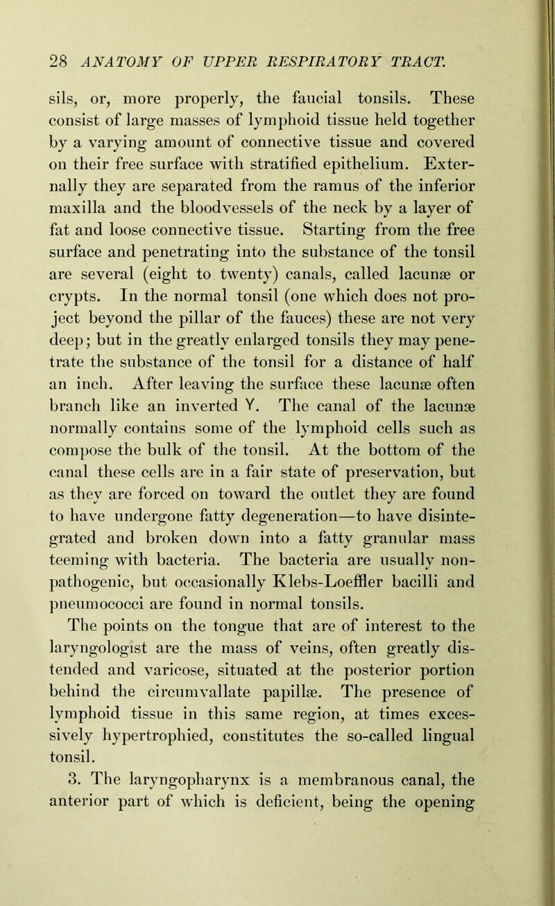 sils, or, more properly, the faucial tonsils. These consist of large masses of lymphoid tissue held together by a varying amount of connective tissue and covered on their free surface with stratified epithelium. Exter- nally they are separated from the ramus of the inferior maxilla and the bloodvessels of the neck by a layer of fat and loose connective tissue. Starting from the free surface and penetrating into the substance of the tonsil are several (eight to twenty) canals, called lacunae or crypts. In the normal tonsil (one which does not pro- ject beyond the pillar of the fauces) these are not very deep; but in the greatly enlarged tonsils they may pene- trate the substance of the tonsil for a distance of half an inch. After leaving the surface these lacunae often branch like an inverted Y, The canal of the lacunae normally contains some of the lymphoid cells such as compose the bulk of the tonsil. At the bottom of the canal these cells are in a fair state of preservation, but as they are forced on toward the outlet they are found to have undei’gone fatty degeneration—to have disinte- grated and broken down into a fatty granular mass teeming with bacteria. The bacteria are usually non- pa thogenic, but occasionally Klebs-Loeffler bacilli and pneumococci are found in normal tonsils. The points on the tongue that are of interest to the laryngologist are the mass of veins, often greatly dis- tended and varicose, situated at the posterior portion behind the circumvallate papillae. The presence of lymphoid tissue in this same region, at times exces- sively hypertrophied, constitutes the so-called lingual tonsil. 3. The laryngopharynx is a membranous canal, the anterior part of which is deficient, being the opening