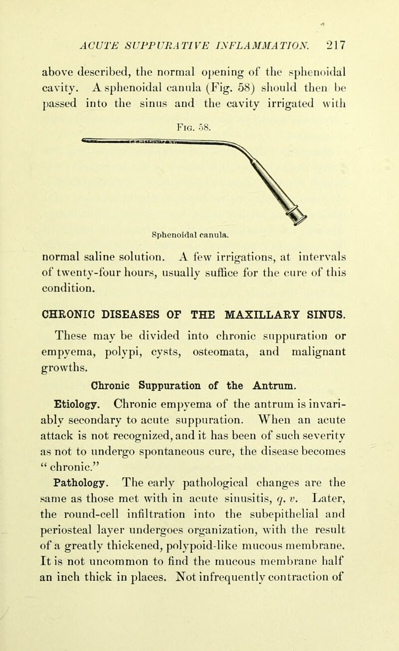 above described, the normal opening of the sphenoidal cavity. A sphenoidal canida (Fig. 58) should then be passed into the sinus and the cavity irrigated with Fig. 58. normal saline solution. A few irrigations, at intervals of twenty-four hours, usually suffice for the cure of this condition. CHRONIC DISEASES OF THE MAXILLARY SINUS. These may be divided into chronic suppuration or empyema, polypi, cysts, osteomata, and malignant growths. Chronic Suppuration of the Antrum. Etiology. Chronic empyema of the antrum is invari- ably secondary to acute suppuration. When an acute attack is not recognized, and it has been of such severity as not to undergo spontaneous cure, the disease becomes “ chronic.” Pathology. The early pathological changes are the same as those met with in acute sinusitis, q. v. Later, the round-cell Infiltration into the subepithelial and periosteal layer undergoes organization, with the result of a greatly thickened, polypoid-like mucous membrane. It is not uncommon to find the mucous membrane half an inch thick in places. Not infrequently contraction of