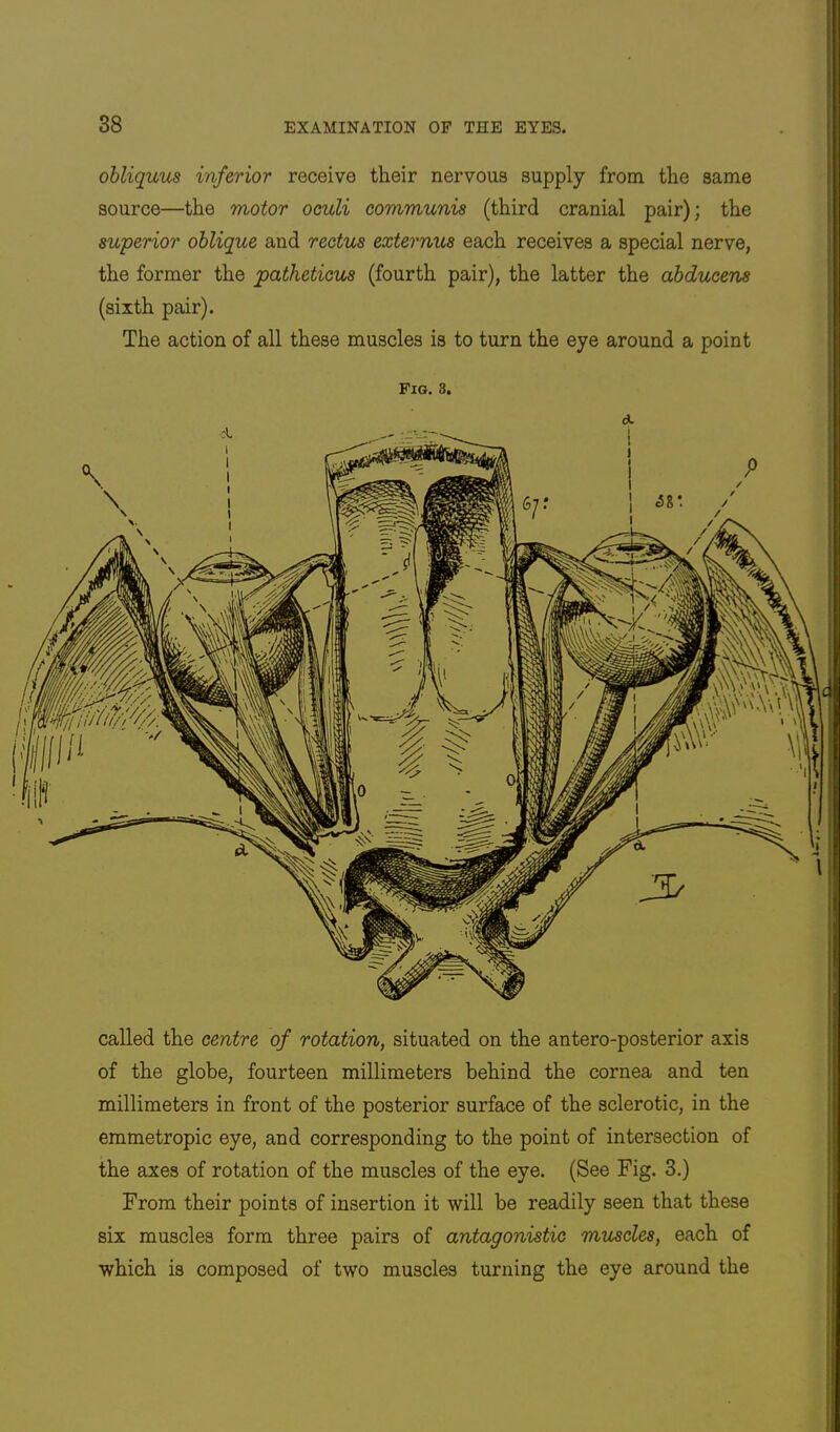 obliquus inferior receive their nervous supply from the same source—the motor oouli communis (third cranial pair); the superior oblique and rectus externus each receives a special nerve, the former the patheticus (fourth pair), the latter the abducens (sixth pair). The action of all these muscles is to turn the eye around a point Fig. 3. called the centre of rotation, situated on the antero-posterior axis of the globe, fourteen millimeters behind the cornea and ten millimeters in front of the posterior surface of the sclerotic, in the emmetropic eye, and corresponding to the point of intersection of the axes of rotation of the muscles of the eye. (See Fig. 3.) From their points of insertion it will be readily seen that these six muscles form three pairs of antagonistic muscles, each of which is composed of two muscles turning the eye around the