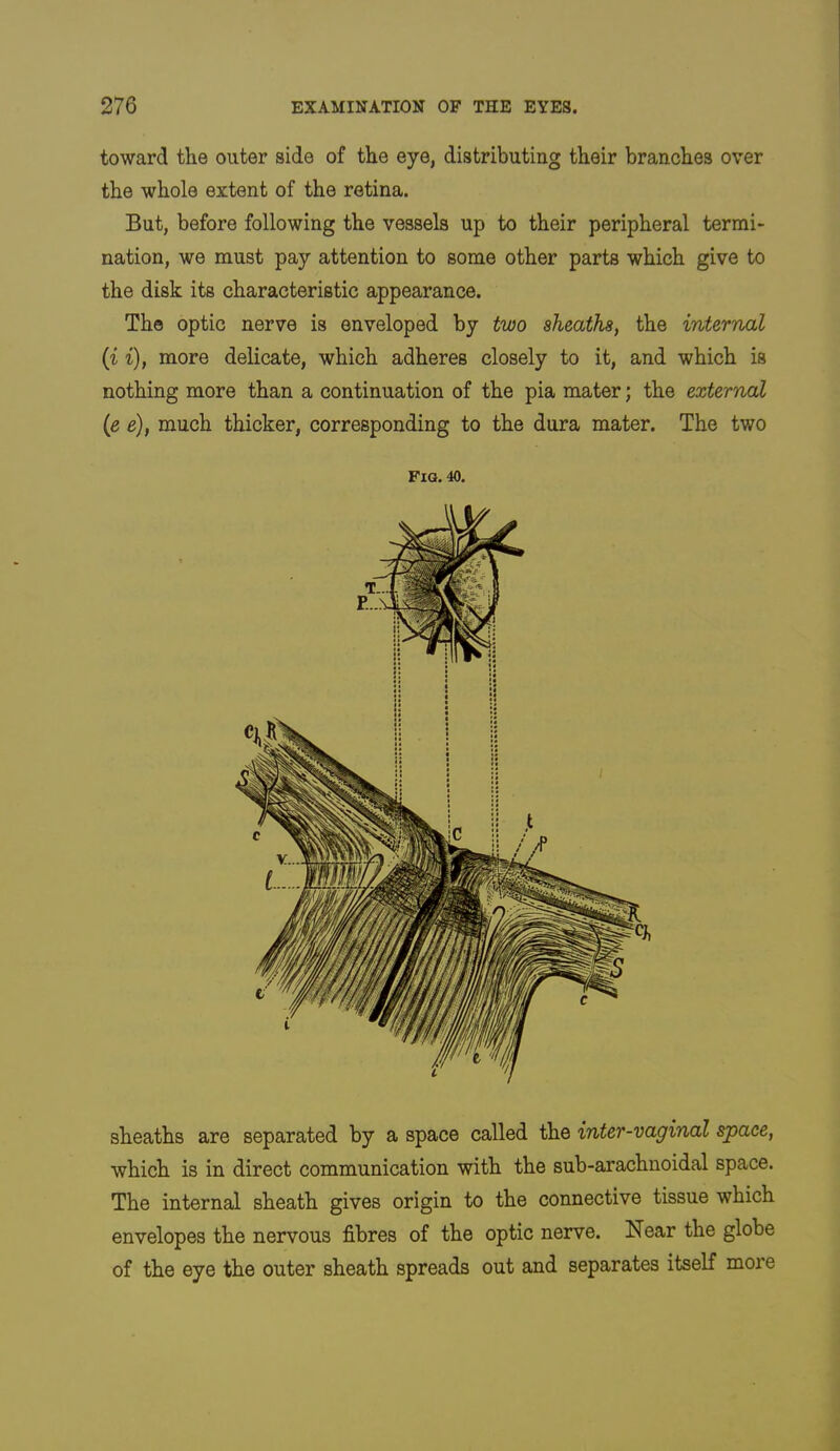 toward the outer side of the eye, distributing their branches over the whole extent of the retina. But, before following the vessels up to their peripheral termi- nation, we must pay attention to some other parts which give to the disk its characteristic appearance. The optic nerve is enveloped by two sheaths, the internal {i i), more delicate, which adheres closely to it, and which is nothing more than a continuation of the pia mater; the external {e e), much thicker, corresponding to the dura mater. The two Fig. 40. sheaths are separated by a space called the inter-vaginal space, which is in direct communication with the sub-arachnoidal space. The internal sheath gives origin to the connective tissue which envelopes the nervous fibres of the optic nerve. Near the globe of the eye the outer sheath spreads out and separates itself more