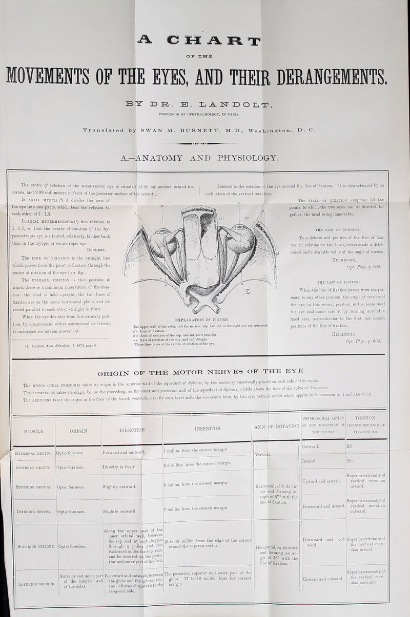 OF TUB MOVEMENTS OF THE EYES, AND THEIR DERANGEMENTS. JDTi,. E. Xj^EEOLT, PROFESSOR OF OPHTHALMOLOGY, IN PARIS. Translated by SWAN M. BURNETT, M.U., Washington, T>. C. A.-ANATOMY AND PHYSIOLOGY. The centre of rotation ol the emmetropic eye is situated 13.45 millimetei's behind the cornea, and 9.99 niillimetei“s in iront of the posterior surface of t^e sclerotic. In AXIAL MYOPIA (^) it divides the axis of the eye into two parts, which bear the relation to each other of 1 :1.3. In AXIAL HYPERMETROPIA (') this relation is 1; 1.5, so that the centre of rotation of the hy- permetropic eye is situated, relatively, farther back than in the myopic or emmetropic eye. Donders. The LINE OF FIXATION is the straight line which passes from the point of fixation through the centre of rotation of the eye (a a, fig.). The PRIMARY POSITION is that position in which there is a minimum innervation of the mus- cles : the head is held upright, the two lines of fixation are on the same horizontal plane, and di- rected parallel to each other straight in front. When the eye deviates from this primary posi- tion, by a movement either ascensional or lateral, it undergoes no torsion movement. (1) Landolt, Ann, d’Oculist. I. 1874, page C. The upper wall of t!ie orbit, and the n a. Line of fixation. d d. -A.xis of rotation of the Kup. and inf. recti nnucle!). 0 0. Axis of rotixtion of the sup. and inf. oblique. (These lines cross .at the centre of rotation of the eye.) Torsion is the rotation of the eye around the line of fixation. It is characterized by an inclination of the vertical meridian. The FIELD OF FIXATION comprises all the points to which the two eyes can be directed to- gether, the head being immovable. THE LAW OF DONDERS: To a determined position of the line of fixa- tion in relation to the head, corresponds a deter- mined and invariable value of the angle of toi-sion. Helmholtz, Opt. Phys. p. 602. THE LAW OF LISTING : When the line of fixation passes from the pri- mary to any other position, the angle of torsion of the eye, in this second position, is the same as if the eye had come into it by turning around a fixed axis, perpendicular to the first and second positions of the line of fixation. Helmholtz, Opt. Phys., p. 606. EXPLANATION OF FIGURE. rect. aup. and inf. of ilie right eye are removed! ORIGIN OP THE MOTOR NERVES OP THE EYE. The MOTOP. OCUI.I COMMUNIS takes its opigin in the anterior wall of the aqueduct of Sylvius, by two nuclei symmetrically placed on each side of the raphe. The PATHETious takes its origin below the preceding, on the outer and posterior wall of the aqueduct of Sylvius, a little above tie base of the valve of V—. The takes its origi! in the floor of the fourth ventricle, exactly on a level with the teres, by two symmetrical nuclei which appear to be common to ,t and fac.al. MUSCLE External rectus. Internal rectos. Superior rectus. Optic foramen. ORIGIN DIRECTION Forward and outward. Optic foramen. Optic foramen. [Directly in front. -I 7 millim. from the corneal margin. 6.5 millim. from the corneal margin. jSlightly outward. Inferior rectus. jOptic foramen. Slightly outward. Superior oblique. Optic foramen. Inferior oblique. 1 Along the upper jart of the inner orbital wal, between the sup. and int. r jct., to pass ( through a pulley and run backward under tl e sup- root, and be inserted or the poste- ' rior and outer pari of the ball. _i Anterior and inner partjBackward and ontwa^i between of the inferior wall] the globe and the itiferior rec- of the orbit. tus; afterward uplvard to the 1 temporal side. INSERTION AXIS OF ROTATION PHYSinLOGICAL ACTION on the direction of THE CORNEA 8 millim. from the corneal margin. 7 millim. from the corneal margin. 16 to 18 millim. from the edge of the corneai behind the superior rectus. The posterior, superior and outer part of (he globe. 17 to 19 millim. from the corneal margin. Vertici|,l. Outward. Horizontal, in- ner end forming an angle of 67® with the line of fixation. Upward and inward. Horizontal, oo, its outer end forming an an- gle of 38® with the line of fixation. TORSION AROUND the line OF FIXATION a a Nil. Downward and inward. Downward and out- ward. Upward and outward. Nil. Superior extremity of vertical meridian inward. Superior extremity of vertical meridian outward. Superior extremity of the vertical meri- dian inward. Superior extremity of the vertical meri- dian outward.