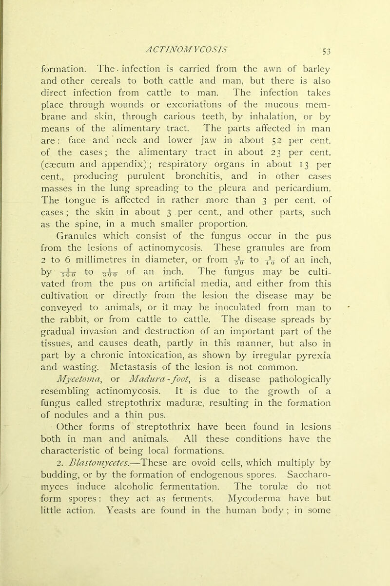 A CTINOM Y CO SIS formation. The. infection is carried from the awn of barley and other cereals to both cattle and man, but there is also direct infection from cattle to man. The infection takes place through wounds or excoriations of the mucous mem- brane and skin, through carious teeth, by inhalation, or by means of the alimentary tract. The parts affected in man are: face and neck and lower jaw in about 52 per cent, of the cases; the alimentary tract in about 23 per cent, (caecum and appendix); respiratory organs in about 13 per cent, producing purulent bronchitis, and in other cases masses in the lung spreading to the pleura and pericardium. The tongue is affected in rather more than 3 per cent, of cases; the skin in about 3 per cent, and other parts, such as the spine, in a much smaller proportion. Granules which consist of the fungus occur in the pus from the lesions of actinomycosis. These granules are from 2 to 6 millimetres in diameter, or from to of an inch, by WTT to -5-^0- of an inch. The fungus may be culti- vated from the pus on artificial media, and either from this cultivation or directly from the lesion the disease may be conveyed to animals, or it may be inoculated from man to the rabbit, or from cattle to cattle. The disease spreads by gradual invasion and destruction of an important part of the tissues, and causes death, partly in this manner, but also in part by a chronic intoxication, as shown by irregular pyrexia and wasting. Metastasis of the lesion is not common. Mycetoma, or Madura-foot, is a disease pathologically resembling actinomycosis. It is due to the growth of a fungus called streptothrix madurce, resulting in the formation of nodules and a thin pus. Other forms of streptothrix have been found in lesions both in man and animals. All these conditions have the characteristic of being local formations. 2. Blastomycetes.—^These are ovoid cells, which multiply by budding, or by the formation of endogenous spores. Saccharo- myces induce alcoholic fermentation. The torulje do not form spores: they act as ferments. Mycoderma have but little action. Yeasts are found in the human body ; in some