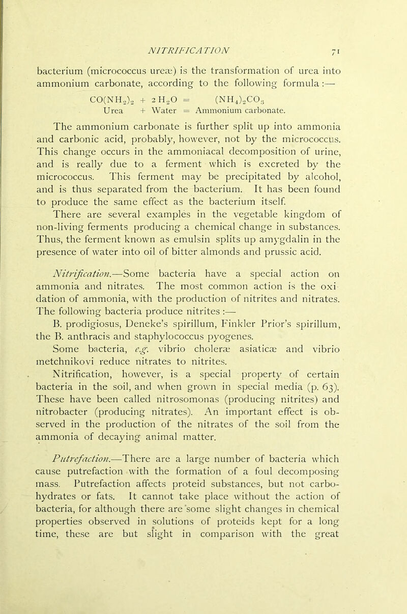 NITRIFICATION bacterium (micrococcus urea;) is the transformation of urea into ammonium carbonate, according to the following formula :— CO(NH.)o + 2H0O = (NH4)2C0;. Urea + Water = Ammonium carbonate. The ammonium carbonate is further split up into ammonia and carbonic acid, probably, however, not by the micrococcus. This change occurs in the ammoniacal decomposition of urine, and is really due to a ferment which is excreted by the micrococcus. This ferment may be precipitated by alcohol, and is thus separated from the bacterium. It has been found to produce the same effect as the bacterium itself There are several examples in the vegetable kingdom of non-living ferments producing a chemical change in substances. Thus, the ferment known as emulsin splits up am}-gdalin in the presence of water into oil of bitter almonds and prussic acid. Nitrification.—Some bacteria have a special action on ammonia and nitrates. The most common action is the oxi dation of ammonia, with the production of nitrites and nitrates. The following bacteria produce nitrites :— B. prodigiosus, Deneke’s spirillum. Tinkler Prior’s spirillum, the B. anthracis and staphylococcus pyogenes. Some bacteria, e.g. vibrio cholera; asiaticae and vibrio metchnikovi reduce nitrates to nitrites. Nitrification, however, is a special property of certain bacteria in the soil, and when grown in special media (p. 63). These have been called nitrosomonas (producing nitrites) and nitrobacter (producing nitrates). An important effect is ob- served in the production of the nitrates of the soil from the ammonia of decaying animal matter. Pntrcfiaction.—There are a large number of bacteria which cause putrefaction with the formation of a foul decomposing mass. Putrefaction affects proteid substances, but not carbo- hydrates or fats. It cannot take place without the action of bacteria, for although there are some slight changes in chemical properties observed in solutions of proteids kept for a long time, the.se are but slight in comparison with the great