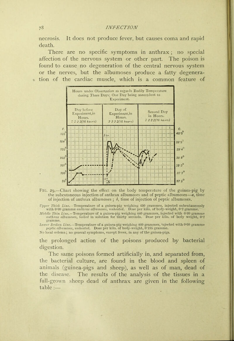 necrosis. It does not produce fever, but cau.ses coma and rapid death. There are no specific symptoms in anthrax ; no special affection of the nervous system or other part. The poison is found to cause no degeneration of the central nervous .system or the nerves, but the albumoses produce a fatty degenera- tion of the cardiac muscle, which is a common feature of Hours under Observation as regards Bodily Temperature during Three Days; One Day being antecedent to Experiment. D:iy bofoie Expctiment.in Hours. ^22 2(16 hours) Day of. Experiment,in Hours. 2 222(10 hours) Second D.iy in Hours. 2 2 2 2(16 ho.trs) 0 ...i J 1 j : j 1 0 ; 0 0 0 r i i i ; iffiijEl: s:- -t ii ; c. 0 AO'b 39-g’ 39-4° 38 8° 38 3“ 37 7° P'lG. 29.—Chart showing the effect on the body temperature of the guinea-pig by the subcutaneous injection of anthrax albumoses and of peptic albumoses—a, time of injection of anthrax albumoses ; time of injection of peptic albumoses. Upper Thick iime.—Temperature of a guinea-pig weighing 430 grammes, injected .subcutaneously with 0’09 gramme anthrajc albumoses, unheated. Dose per kilo, of body-weight, 0'2 gramme. Middle Thin ii71c.—Temperature of a guinea-pig weighing 440 grammes, injected with 0-09 gramme anthrax albumoses, boiled in solution for thirty secomis. Dose per kilo, of body weight, 02 gramme. Lower Broken Line.—Temperature of a guinea-pig weighing 460 grammes, injected with O'OO gramme peptic albumoses, unhealed. Dose per kilo, of body-weight, 0'195 gramme. No local osdemn; no general symptoms, except fever, in any of the guinea-pigs. the prolonged action of the poisons produced by bacterial digestion. The same poisons formed artificially in, and separated from, the bacterial culture, are found in the blood and spleen of animals (guinea-pigs and sheep), as well as of man, dead of the disease. The results of the analysis of the tissues in a full-grown sheep dead of anthrax are given in the following table :—