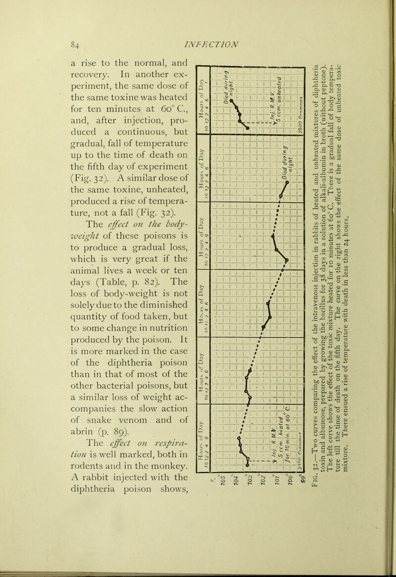 a rise to the normal, and recovery. In another ex- periment, the same dose of the same toxine was heated for ten minutes at 6o° C., and, after injection, pro- duced a continuous, but gradual, fall of temperature up to the time of death on the fifth day of experiment (Fig. 32). A similar dose of the same toxine, unheated, produced a rise of tempera- ture, not a fall (Fig. 32). The effect on the body- weight of these poisons is to produce a gradual loss, which is very great if the animal lives a week or ten days (Table, p. 82). The loss of body-weight is not solely due to the diminished quantity of food taken, but to some change in nutrition produced by the poison. It is more marked in the case of the diphtheria poison than in that of most of the other bacterial poisons, but a similar loss of weight ac- companies the slow action of snake venom and of abrin (p. 89). The effect on 7-cspira- tion is well marked, both in rodents and in the monkey. A rabbit injected with the diphtheria poison shows. Fig. 32.—Two curves comparing the effect of the intravenous injection in rabbits of heated and unheated mixtures of diphtheria toxin and albumose, prepared by growing the bacillus for 38 days in a solution of alkali-albumin in broth (without peptone). The left curve shows the effect of the toxic mixture heated for 10 minutes at 60° C. There is a gradual fall of body tempera- ture till the time of death on the fifth day. The curve on the right shows the effect of the same dose of unheated toxic mixture. There ensued a rise of tempei'ature with death in less than 24 hours.