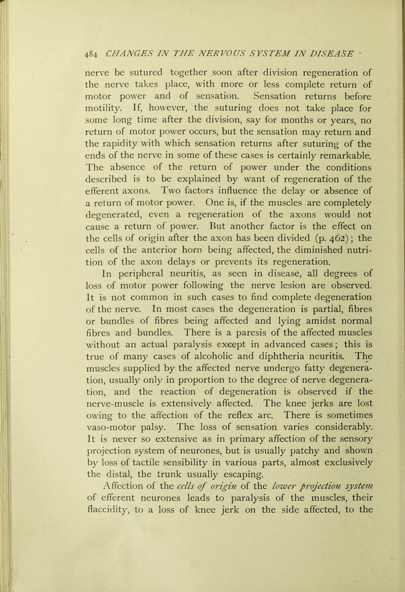 nerve be sutured together soon after division regeneration of the nerve takes place, with more or less complete return of motor power and of sensation. Sensation returns before motility. If, however, the suturing does not take place for some long time after the division, say for months or years, no return of motor power occurs, but the sensation may return and the rapidity with which sensation returns after suturing of the ends of the nerve in some of these cases is certainly remarkable. The absence of the return of power under the conditions described is to be explained by want of regeneration of the efferent axons. Two factors influence the delay or absence of a return of motor power. One is, if the muscles are completely degenerated, even a regeneration of the axons would not cause a return of power. But another factor is the effect on the cells of origin after the axon has been divided (p. 462); the cells of the anterior horn being affected, the diminished nutri- tion of the axon delays or prevents its regeneration. In peripheral neuritis, as seen in disease, all degrees of loss of motor power following the nerve lesion are observed. It is not common in such cases to find complete degeneration of the nerve. In most cases the degeneration is partial, fibres or bundles of fibres being affected and lying amidst normal fibres and bundles. There is a paresis of the affected muscles without an actual paralysis except in advanced cases; this is true of many cases of alcoholic and diphtheria neuritis. The muscles supplied by the affected nerve undergo fatty degenera- tion, usually only in proportion to the degree of nerve degenera- tion, and the reaction of degeneration is observed if the nerve-muscle is extensively affected. The knee jerks are lost owing to the affection of the reflex arc. There is sometimes vaso-motor palsy. The loss of sensation varies considerably. It is never so extensive as in primary affection of the sensory projection system of neurones, but is usually patchy and shown by loss of tactile sensibility in various parts, almost exclusively the distal, the trunk usually escaping. Affection of the cells of origin of the lower projection system of efferent neurones leads to paralysis of the muscles, their flaccidity, to a loss of knee jerk on the side affected, to the
