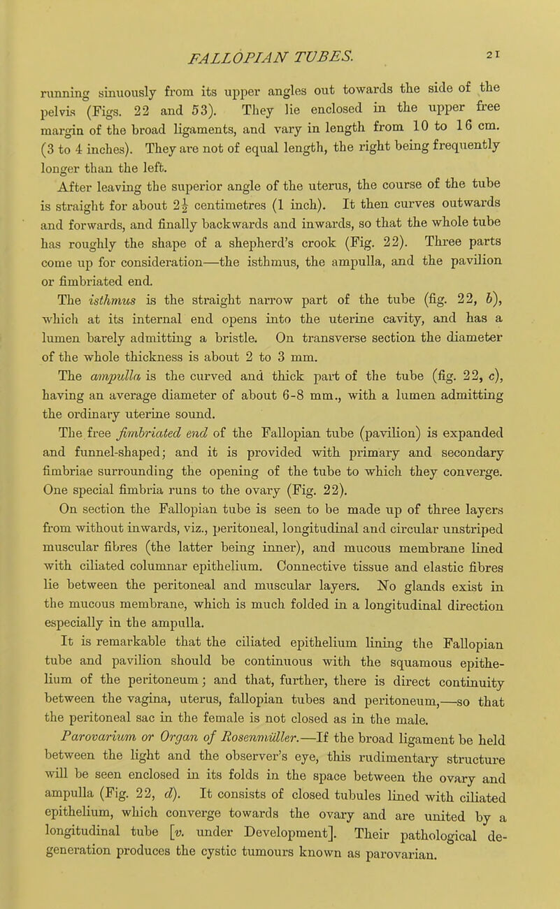 FALLOPIAN TUBES. running sinuously from its upper angles out towards the side of the pelvis (Figs. 22 and 53). They lie enclosed in the upper free margin of the broad ligaments, and vary in length from 10 to 16 cm. (3 to 4 inches). They are not of equal length, the right being frequently longer than the left. After leaving the superior angle of the uterus, the course of the tube is straight for about 2\ centimetres (1 inch). It then curves outwards and forwards, and finally backwards and inwards, so that the whole tube has roughly the shape of a shepherd's crook (Fig. 22). Three parts come up for consideration—the isthmus, the ampulla, and the pavilion or fimbriated end The isthmus is the straight narrow part of the tube (fig. 22, b), which at its internal end opens into the uterine cavity, and has a lumen barely admitting a bristle. On transverse section the diameter of the whole thickness is about 2 to 3 mm. The ampulla is the curved and thick part of the tube (fig. 22, c), having an average diameter of about 6-8 mm., with a lumen admitting the ordinary uterine sound. The free fimbriated end of the Fallopian tube (pavilion) is expanded and funnel-shaped; and it is provided with primary and secondary fimbriae surrounding the opening of the tube to which they converge. One special fimbria runs to the ovary (Fig. 22). On section the Fallopian tube is seen to be made up of three layers from without inwards, viz., peritoneal, longitudinal and circular unstriped muscular fibres (the latter being inner), and mucous membrane lined with ciliated columnar epithelium. Connective tissue and elastic fibres lie between the peritoneal and muscular layers. No glands exist in the mucous membrane, which is much folded in a longitudinal direction especially in the ampulla. It is remarkable that the ciliated epithelium lining the Fallopian tube and pavilion should be continuous with the squamous epithe- lium of the peritoneum; and that, further, there is direct continuity between the vagina, uterus, fallopian tubes and peritoneum,—so that the peritoneal sac in the female is not closed as in the male. Parovarium or Organ of Posenmuller.—If the broad ligament be held between the light and the observer's eye, this rudimentary structure will be seen enclosed in its folds in the space between the ovary and ampulla (Fig. 22, d). It consists of closed tubules lined with ciliated epithelium, which converge towards the ovary and are united by a longitudinal tube [v. under Development]. Their pathological de- generation produces the cystic tumours known as parovarian.