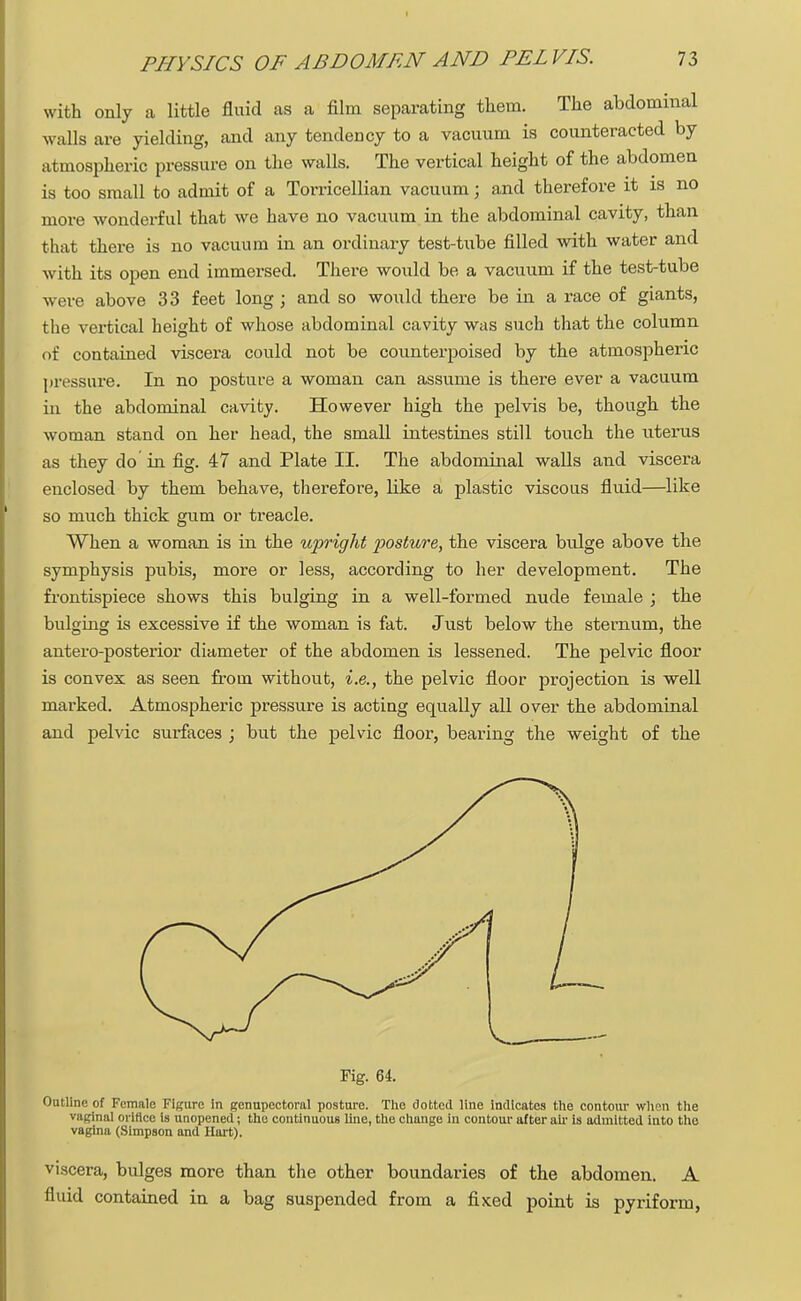 with only a little fluid as a film separating them. The abdominal walls are yielding, and any tendency to a vacuum is counteracted by atmospheric pressure on the walls. The vertical height of the abdomen is too small to admit of a Torricellian vacuum; and therefore it is no more wonderful that we have no vacuum in the abdominal cavity, than that there is no vacuum in an ordinary test-tube filled with water and with its open end immersed. There would be a vacuum if the test-tube were above 33 feet long ; and so would there be in a race of giants, the vertical height of whose abdominal cavity was such that the column of contained viscera could not be counterpoised by the atmospheric pressure. In no posture a woman can assume is there ever a vacuum in the abdominal cavity. However high the pelvis be, though the woman stand on her head, the small intestines still touch the uterus as they do in fig. 47 and Plate II. The abdominal walls and viscera enclosed by them behave, therefore, like a plastic viscous fluid—like so much thick gum or treacle. When a woman is in the upright posture, the viscera brdge above the symphysis pubis, more or less, according to her development. The frontispiece shows this bulging in a well-formed nude female ; the bulging is excessive if the woman is fat. Just below the sternum, the antero-posterior diameter of the abdomen is lessened. The pelvic floor is convex as seen from without, i.e., the pelvic floor projection is well marked. Atmospheric pressure is acting equally all over the abdominal and pelvic surfaces ; but the pelvic floor, bearing the weight of the Fig. 64. Outline of Female Figure in genupectoral posture. The clotted line indicates the contour when the vaginal orifice is unopened; the continuous line, the change in contour after ah' is admitted into the vagina (Simpson and Hart). viscera, bulges more than the other boundaries of the abdomen. A fluid contained in a bag suspended from a fixed point is pyriform,