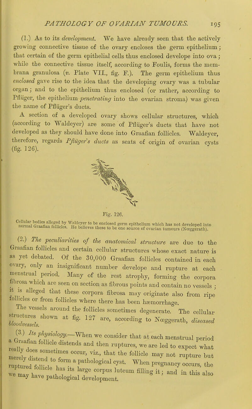 (1.) As to its develojmient. We have already seen that the actively growing connective tissue of the ovary encloses the germ epithelium; that certain of the germ epithelial cells thus enclosed develope into ova; while the connective tissue itself, according to Foulis, forms the mem- brana granulosa (v. Plate VII., fig. F.). The germ epithelium thus enclosed gave rise to the idea that the developing ovary was a tubular organ; and to the epithelium thus enclosed for rather, according to Pfliiger, the epithelium penetrating into the ovarian stroma) was given the name of Pfliiger's ducts. A section of a developed ovary shows cellular structures, which (according to Waldeyer) are some of Pfliiger's ducts that have not developed as they should have done into Graafian follicles. Waldeyer, therefore, regards Pfliiger's ducts as seats of origin of ovarian cysts (fig. 126). Fig. 126. CSS™ ffiZ Ww d27t0 Menclosed Serra epithelium which has not developed into normal Giaafian folhcles. He believes these to he one source of ovarian tumours (Nceggerath). (2.) The peculiarities of the anatomical structure are clue to the Graafian follicles and certain cellular structures whose exact nature is as yet debated. Of the 30,000 Graafian follicles contained in each ovary, only an insignificant number develope and rupture at each menstrual period. Many of the rest atrophy, forming the corpora fibrosa which are seen on section as fibrous points and contain no vessels ; it is alleged that these corpora fibrosa may originate also from ripe' iolhcles or from follicles where there has been hemorrhage. The vessels around the follicles sometimes degenerate. The cellular iToZZs8110^ ^ %' ^7 aCC01'diUg t0 NceS§eratb> (3.) Its physiology.-When we consider that at each menstrual period a Graafian folhcle distends and then ruptures, we are led to expect what mXZ s7f 7occur'vizthat the follicle ma^not **P*™ ^t i^,f,^# When pregnancy occurs, the jptered folhcle has xts large corpus luteum filling ifcj and in this a]g0 6 ma* W Pathological development.