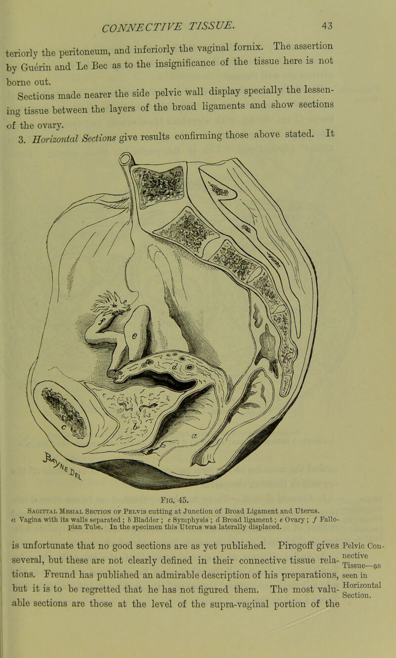 terioriy the peritoneum, and interiorly the vaginal fornix. The assertion by Guerin and Le Bee as to the insignificance of the tissue here is not borne out. Sections made nearer the side pelvic wall display specially the lessen- ing tissue between the layers of the broad ligaments and show sections of the ovary. 3. Horizontal Sections give results confirming those above stated. It Fig. 45. Sagittal Mesial Section of Pelvis cutting at Junction of Broad Ligament and Uterus. « Vagina with its walls separated; b Bladder ; c Symphysis ; d Broad ligament; e Ovary; / Fallo- pian Tube. In the specimen this Uterus was lateraUy displaced. is unfortunate that no good sections are as yet published. Pirogoff gives Pelvic Con- several, but these are not clearly defined in their connective tissue rela- tissue—as tions. Freund has published an admirable description of his preparations, seen in but it is to be regretted that he has not figured them. The most valu- able sections are those at the level of the supra-vaginal portion of the