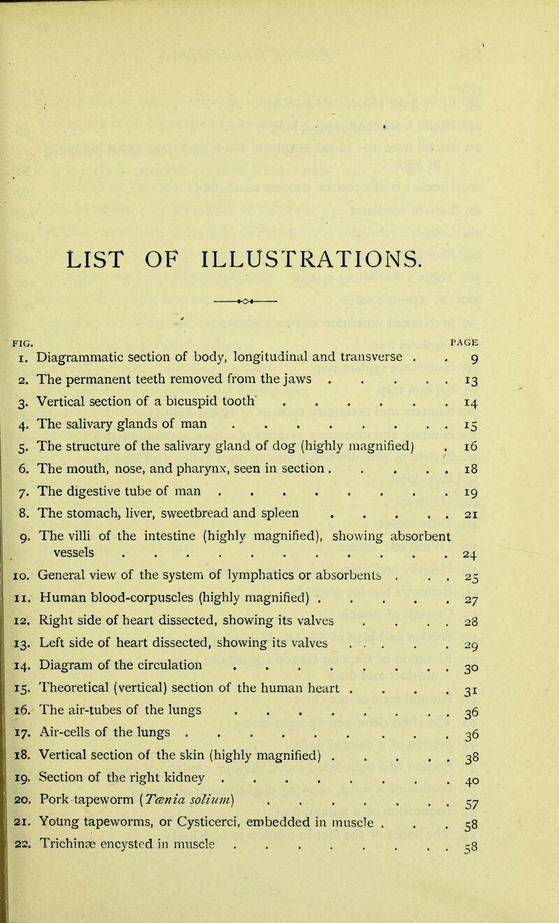 LIST OF ILLUSTRATIONS. FIG. PAGE 1. Diagrammatic section of body, longitudinal and transverse . . 9 2. The permanent teeth removed from the jaws 13 3. Vertical section of a bicuspid tooth 14 4. The salivary glands of man 15 5. The structure of the salivary gland of dog (highly magnified) . 16 6. The mouth, nose, and pharynx, seen in section 18 7. The digestive tube of man 19 8. The stomach, liver, svi^eetbread and spleen 21 9. The villi of the intestine (highly magnified), showing absorbent vessels 24 10. General view of the system of lymphatics or absorbents . . . 25 11. Human blood-corpuscles (highly magnified) 27 12. Right side of heart dissected, showing its valves . . . . 28 13. Left side of heart dissected, showing its valves 29 14. Diagram of the circulation 30 15. Theoretical (vertical) section of the human heart . . . .31 16. The air-tubes of the lungs 36 17. Air-cells of the lungs 36 18. Vertical section of the skin (highly magnified) 38 19. Section of the right kidney 40 20. Pork tapeworm {Tisnia soli2(m) . . . . . . • 57 21. Young tapeworms, or Cysticerci, embedded in muscle . . .58 22. Trichinse encysted in muscle