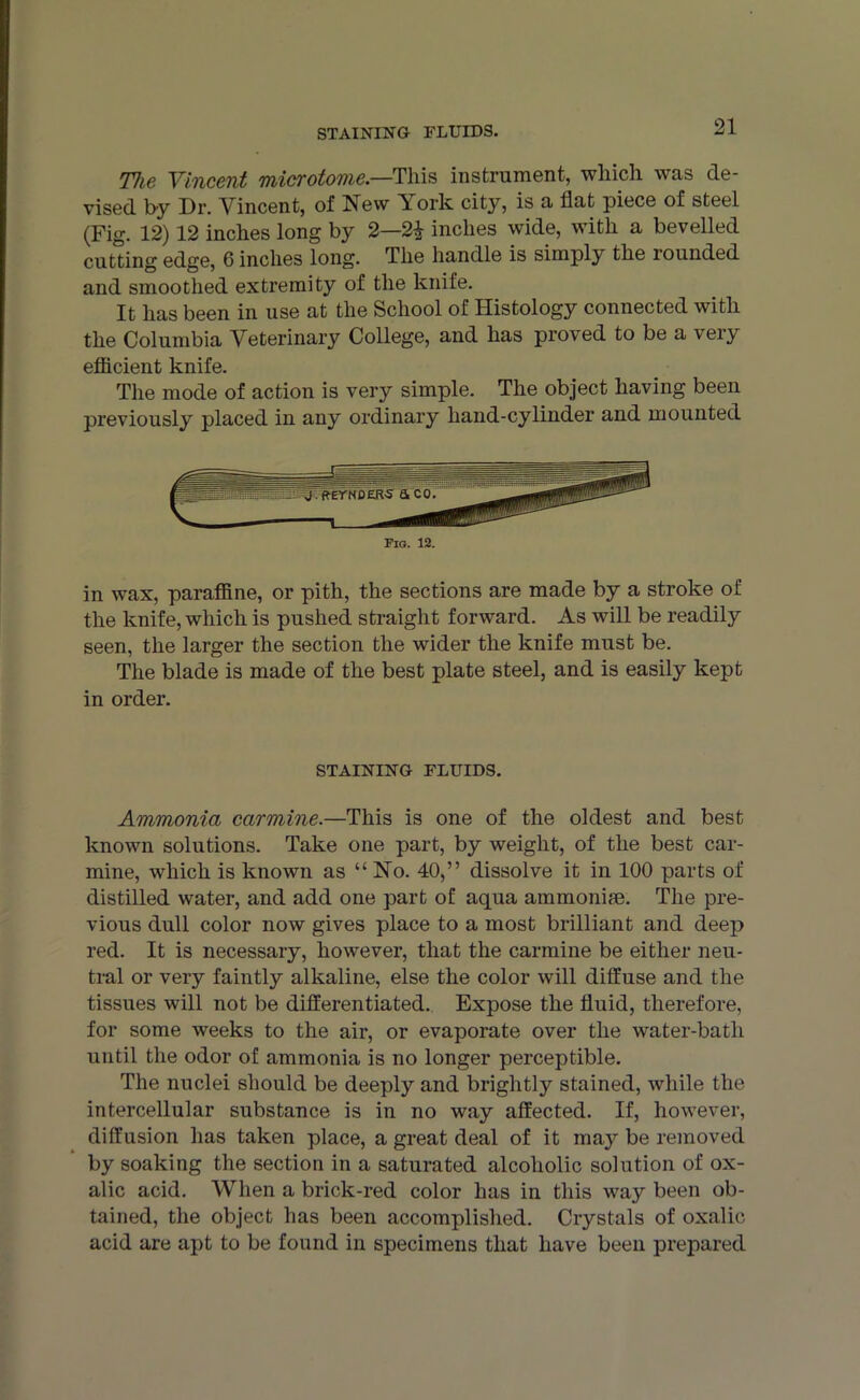 The Vincent microtome— This instrument, which was de- vised by Dr. Vincent, of New York city, is a flat piece of steel (Fig. 12) 12 inches long by 2—2£ inches wide, with a bevelled cutting edge, 6 inches long. The handle is simply the rounded and smoothed extremity of the knife. It has been in use at the School of Histology connected with the Columbia Veterinary College, and has proved to be a veiy efficient knife. The mode of action is very simple. The object having been previously placed in any ordinary hand-cylinder and mounted Fig. 12. in wax, paraffine, or pith, the sections are made by a stroke of the knife, which is pushed straight forward. As will be readily seen, the larger the section the wider the knife must be. The blade is made of the best plate steel, and is easily kept in order. STAINING FLUIDS. Ammonia carmine.—This is one of the oldest and best known solutions. Take one part, by weight, of the best car- mine, which is known as “No. 40,” dissolve it in 100 parts of distilled water, and add one part of aqua ammonise. The pre- vious dull color now gives place to a most brilliant and deep red. It is necessary, however, that the carmine be either neu- tral or very faintly alkaline, else the color will diffuse and the tissues will not be differentiated. Expose the fluid, therefore, for some weeks to the air, or evaporate over the water-batli until the odor of ammonia is no longer perceptible. The nuclei should be deeply and brightly stained, while the intercellular substance is in no way affected. If, however, diffusion has taken place, a great deal of it may be removed by soaking the section in a saturated alcoholic solution of ox- alic acid. When a brick-red color has in this way been ob- tained, the object has been accomplished. Crystals of oxalic acid are apt to be found in specimens that have been prepared