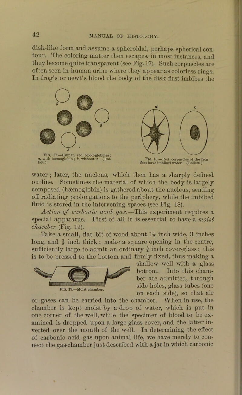 disk-like form and assume a spheroidal, perhaps spherical con- tour. The coloring matter then escapes, in most instances, and they become quite transparent (see Fig. 17). Such corpuscles are often seen in human urine where they appear as colorless rings. In frog’s or newt’s blood the body of the disk first imbibes the 6 Fig. 11.—Human red blood-globules: a, with haemoglobin; b, without it. (Rol- lett.) a i Fig. 18.—Red corpuscles of the frog that have imbibed water. (Rollett.) water ; later, the nucleus, which then has a sharply defined outline. Sometimes the material of which the body is largely composed (haemoglobin) is gathered about the nucleus, sending off radiating prolongations to the periphery, while the imbibed fluid is stored in the intervening spaces (see Fig. 18). Action of carbonic acid gas.—This experiment requires a special apparatus. First of all it is essential to have a moist chamber (Fig. 19). Take a small, flat bit of wood about 1£ inch wide, 3 inches long, and -f inch thick ; make a square opening in the centre, sufficiently large to admit an ordinary £ inch cover-glass ; this is to be pressed to the bottom and firmly fixed, thus making a shallow well with a glass bottom. Into this cham- ber are admitted, through side holes, glass tubes (one on each side), so that air or gases can be carried into the chamber. When in use, the chamber is kept moist by a drop of water, which is put in one corner of the well, while the specimen of blood to be ex- amined is dropped upon a large glass cover, and the latter in- verted over the mouth of the well. In determining the effect of carbonic acid gas upon animal life, we have merely to con- nect the gas-cliamber just described with a jar in which carbonic Fig. 19.—Moist chamber.