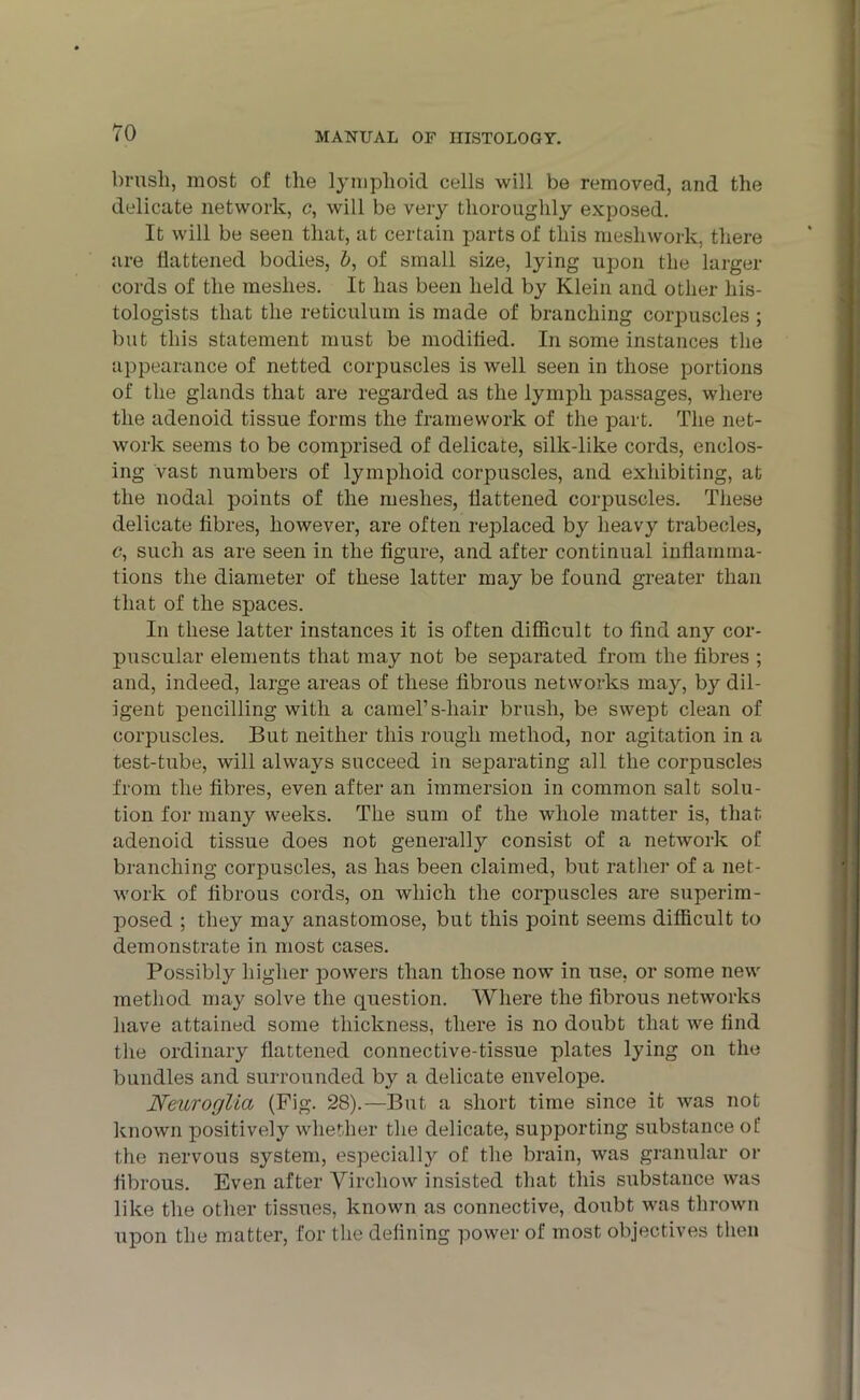 brush, most of the lymphoid cells will be removed, and the delicate network, c, will be very thoroughly exposed. It will be seen that, at certain parts of this meshwork, there are flattened bodies, l>, of small size, lying upon the larger cords of the meshes. It has been held by Klein and other his- tologists that the reticulum is made of branching corpuscles ; but this statement must be modified. In some instances the appearance of netted corpuscles is well seen in those portions of the glands that are regarded as the lymph passages, where the adenoid tissue forms the framework of the part. The net- work seems to be comprised of delicate, silk-like cords, enclos- ing vast numbers of lymphoid corpuscles, and exhibiting, at the nodal points of the meshes, flattened corpuscles. These delicate fibres, however, are often replaced by heavy trabecles, <?, such as are seen in the figure, and after continual inflamma- tions the diameter of these latter may be found greater than that of the spaces. In these latter instances it is often difficult to find any cor- puscular elements that may not be separated from the fibres ; and, indeed, large areas of these fibrous networks may, by dil- igent pencilling with a camel’s-liair brush, be swejDt clean of corpuscles. But neither this rough method, nor agitation in a test-tube, will always succeed in separating all the corpuscles from the fibres, even after an immersion in common salt solu- tion for many weeks. The sum of the whole matter is, that adenoid tissue does not generally consist of a network of branching corpuscles, as has been claimed, but rather of a net- work of fibrous cords, on which the corpuscles are superim- posed ; they may anastomose, but this point seems difficult to demonstrate in most cases. Possibly higher powers than those now in use, or some new method may solve the question. Where the fibrous networks have attained some thickness, there is no doubt that we find the ordinary flattened connective-tissue plates lying on the bundles and surrounded by a delicate envelope. Neuroglia (Fig. 28).—But a short time since it Avas not known positively whether the delicate, supporting substance of the nervous system, especially of the brain, Avas granular or fibrous. Even after Yirchow insisted that this substance was like the other tissues, known as connective, doubt was thrown upon the matter, for the defining power of most objectives then
