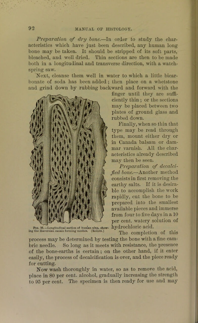 Preparation of dry tone.—In order to study the char- acteristics which have just been described, any human long bone may be taken. It should be stripped of its soft parts, bleached, and well dried. Thin sections are then to be made both in a longitudinal and transverse direction, with a watch- spring saw. Next, cleanse them well in water to which a little bicar- bonate of soda has been added; then place on a whetstone and grind down by rubbing backward and forward with the linger until they are suffi- ciently thin ; or the sections may be placed between two plates of ground glass and rubbed down. Finally, when so thin that type may be read through them, mount either dry or in Canada balsam or dam- mar varnish. All the char- acteristics already described may then be seen. Preparation of decalci- fied tone.—Another method consists in first removing the earthy salts. If it is desira- ble to accomplish the work rapidly, cut the bone to be prepared into the smallest available pieces and immerse from four to five days in a 10 per cent, watery solution of Fio. 86. —Longitudinal section of human ulna, show- hydrochloric acid. The completion of this ing the Haversian canals forming meshes. (Eollett.) process may be determined by testing the bone with a fine cam- bric needle. So long as it meets with resistance, the presence of the bone-earths is certain; on the other hand, if it enter easily, the process of decalcification is over, and the piece ready for cutting. Now wash thoroughly in water, so as to remove the acid, place in 80 per cent, alcohol, gradually increasing the strength to 95 per cent. The specimen is then ready for use and may