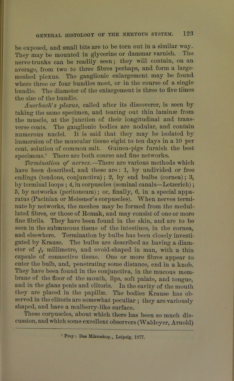 be exposed, and small bits are to be torn out in a similar way. They may be mounted in glycerine or dammar varnish, lhe nerve-trunks can be readily seen; they will contain, on an average, from two to three fibres perhaps, and form a large- meslied plexus. The ganglionic enlargement may be found where three or four bundles meet, or in the course of a single bundle. The diameter of the enlargement is three to five times the size of the bundle. Auerbach's plexus, called after its discoverer, is seen by taking the same specimen, and tearing out thin laminae from the muscle, at the junction of their longitudinal and trans- verse coats. The ganglionic bodies are nodular, and contain numerous nuclei. It is said that they may be isolated by immersion of the muscular tissue eight to ten days in a 10 per cent, solution of common salt. G-uinea-pigs furnish the best specimens.1 There are both coarse and fine networks. Termination of nerves.—There are various methods which have been described, and these are : 1, by undivided or free endings (tendons, conjunctiva); 2, by end bulbs (cornea); 3, by terminal loops ; 4, in corpuscles (seminal canals—Letzerich); 5, by networks (peritoneum); or, finally, 6, in a special appa- ratus (Pacinian or Meissner’s corpuscles). When nerves termi- nate by networks, the meshes may be formed from the medul- lated fibres, or those of Remak, and may consist of one or more fine fibrils. They have been found in the skin, and are to be seen in the submucous tissue of the intestines, in the cornea, and elsewhere. Termination by bulbs has been closely investi- gated by Krause. The bulbs are described as having a diam- eter of -gV millimetre, and ovoid-sliaped in man, with a thin capsule of connective tissue. One or more fibres appear to enter the bulb, and, penetrating some distance, end in a knob. They have been found in the conjunctiva, in the mucous mem- brane of! the floor of the mouth, lips, soft palate, and tongue, and in the glans penis and clitoris. In the cavity of the mouth they are placed in the papillm. The bodies Krause lias ob- served in the clitoris are somewhat peculiar ; they are variously shaped, and have a mulberry-like surface. These corpuscles, about which there has been so much dis- cussion, and which some excellent observers (Whldeyer, Arnold) 1 Frey: Daa Mikroskop., Leipzig, 1877.