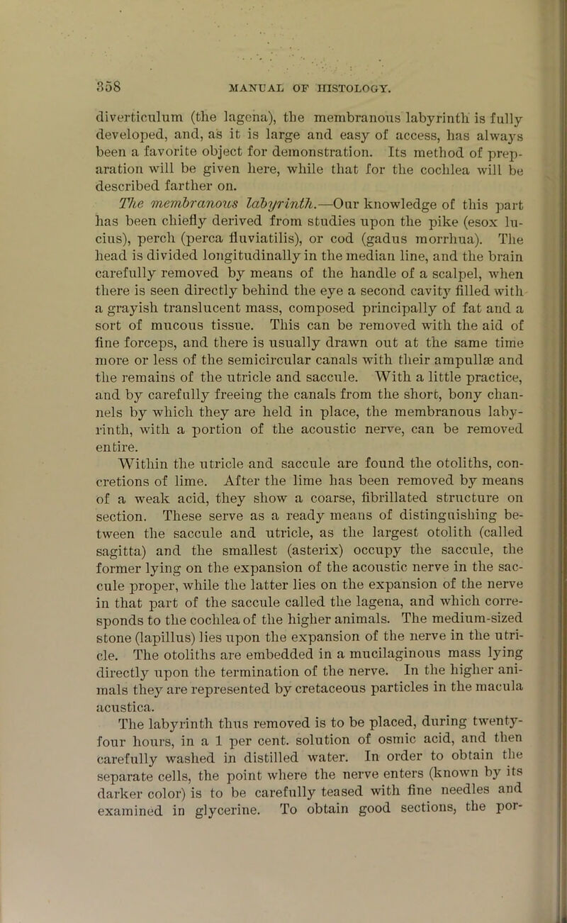 diverticulum (the lagcna), the membranous labyrinth is fully developed, and, as it is large and easy of access, has always been a favorite object for demonstration. Its method of prep- aration will be given here, while that for the cochlea will be described farther on. The membranous labyrinth.—Our knowledge of this part has been chiefly derived from studies upon the pike (esox lu- cius), perch (perca fluviatilis), or cod (gadus morrhua). The head is divided longitudinally in the median line, and the brain carefully removed by means of the handle of a scalpel, when there is seen directly behind the eye a second cavit}7 filled with a grayish translucent mass, composed principally of fat and a sort of mucous tissue. This can be removed with the aid of fine forceps, and there is usually drawn out at the same time more or less of the semicircular canals with their ampullae and the remains of the utricle and saccule. With a little practice, and by carefully freeing the canals from the short, bony chan- nels by which they are held in place, the membranous laby- rinth, with a portion of the acoustic nerve, can be removed entire. Within the utricle and saccule are found the otoliths, con- cretions of lime. After the lime has been removed by means of a weak acid, they show a coarse, fibrillated structure on section. These serve as a ready means of distinguishing be- tween the saccule and utricle, as the largest otolith (called sagitta) and the smallest (asterix) occupy the saccule, the former lying on the expansion of the acoustic nerve in the sac- cule proper, while the latter lies on the expansion of the nerve in that part of the saccule called the lagena, and which corre- sponds to the cochlea of the higher animals. The medium-sized stone (lapillus) lies upon the expansion of the nerve in the utri- cle. The otoliths are embedded in a mucilaginous mass lying directly upon the termination of the nerve. In the higher ani- mals they are represented by cretaceous particles in the macula acustica. The labyrinth thus removed is to be placed, during twenty- four hours, in a 1 per cent, solution of osmic acid, and then carefully washed in distilled water. In order to obtain the separate cells, the point where the nerve enters (known by its darker color) is to be carefully teased with fine needles and examined in glycerine. To obtain good sections, the poi-