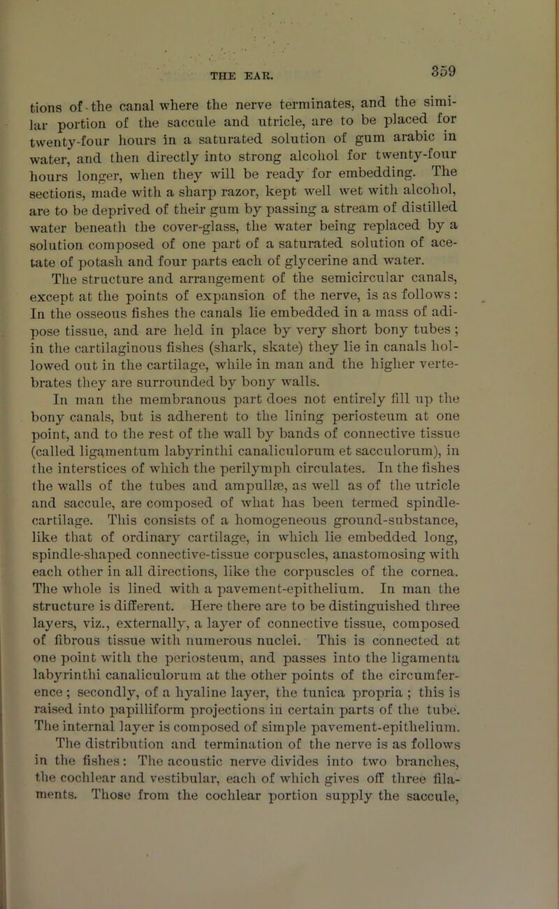 tions of • the canal where the nerve terminates, and the simi- lar portion of the saccule and utricle, are to be placed for twenty-four hours in a saturated solution of gum arabic in water, and then directly into strong alcohol for twenty-four hours longer, when they will be ready for embedding. The sections, made with a sharp razor, kept well wet with alcohol, are to be deprived of their gum by passing a stream of distilled water beneath the cover-glass, the water being replaced by a solution composed of one part of a saturated solution of ace- tate of potash and four parts each of glycerine and water. The structure and arrangement of the semicircular canals, except at the points of expansion of the nerve, is as follows: In the osseous fishes the canals lie embedded in a mass of adi- pose tissue, and are held in place by very short bony tubes ; in the cartilaginous fishes (shark, skate) they lie in canals hol- lowed out in the cartilage, while in man and the higher verte- brates they are surrounded by bony walls. In man the membranous part does not entirely fill up the bony canals, but is adherent to the lining periosteum at one point, and to the rest of the wall by bands of connective tissue (called 1 igamenturn labyrintlii canaliculorum et sacculorum), in the interstices of which the perilymph circulates. In the fishes the walls of the tubes and ampullae, as well as of the utricle and saccule, are composed of what has been termed spindle- cartilage. This consists of a homogeneous ground-substance, like that of ordinary cartilage, in which lie embedded long, spindle-shaped connective-tissue corpuscles, anastomosing with each other in all directions, like the corpuscles of the cornea. The whole is lined with a pavement-epithelium. In man the structure is different. Here there are to be distinguished three layers, viz., externally, a laj^er of connective tissue, composed of fibrous tissue with numerous nuclei. This is connected at one point with the periosteum, and passes into the ligamenta labyrintlii canaliculorum at the other points of the circumfer- ence ; secondly, of a hyaline layer, the tunica propria ; this is raised into papilliform projections in certain parts of the tube. The internal layer is composed of simple pavement-epithelium. The distribution and termination of the nerve is as follows in the fishes: The acoustic nerve divides into two branches, the cochlear and vestibular, each of which gives off three fila- ments. Those from the cochlear portion supply the saccule,