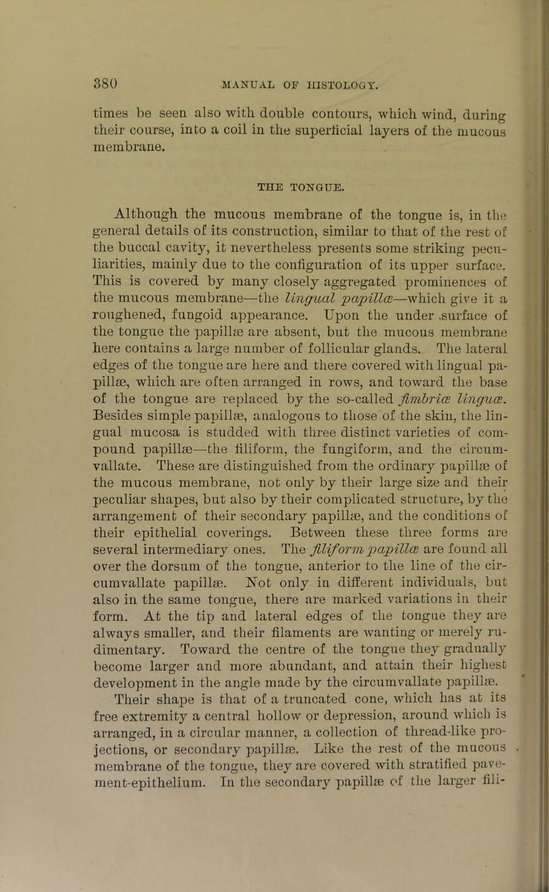 times be seen also with double contours, which wind, during their course, into a coil in the superficial layers of the mucous membrane. THE TONGUE. Although the mucous membrane of the tongue is, in the general details of its construction, similar to that of the rest of the buccal cavity, it nevertheless presents some striking pecu- liarities, mainly due to the configuration of its upper surface. This is covered by many closely aggregated prominences of the mucous membrane—the lingual papillae—which give it a roughened, fungoid appearance. Upon the under .surface of the tongue the papilke are absent, but the mucous membrane here contains a large number of follicular glands. The lateral edges of the tongue are here and there covered with lingual pa- pillse, which are often arranged in rows, and toward the base of the tongue are replaced by the so-called fimbrice linguae. Besides simple papillae, analogous to those of the skin, the lin- gual mucosa is studded with three distinct varieties of com- pound papillae—the filiform, the fungiform, and the circum- vallate. These are distinguished from the ordinary papilke of the mucous membrane, not only by their large size and their peculiar shapes, but also by their complicated structure, by the arrangement of their secondary papillae, and the conditions of their epithelial coverings. Between these three forms are several intermediary ones. The filiform papillae are found all over the dorsum of the tongue, anterior to the line of the cir- cumvallate papillae. Not only in different individuals, but also in the same tongue, there are marked variations in tlieir form. At the tip and lateral edges of the tongue they are always smaller, and their filaments are wanting or merely ru- dimentary. Toward the centre of the tongue they gradually become larger and more abundant, and attain their highest development in the angle made by the circumvallate papillae. Their shape is that of a truncated cone, which has at its free extremity a central hollow or depression, around which is arranged, in a circular manner, a collection of thread-like pro- jections, or secondary papillae. Like the rest of the mucous membrane of the tongue, they are covered with stratified pave- ment-epithelium. In the secondaiy papillae of the larger fill-