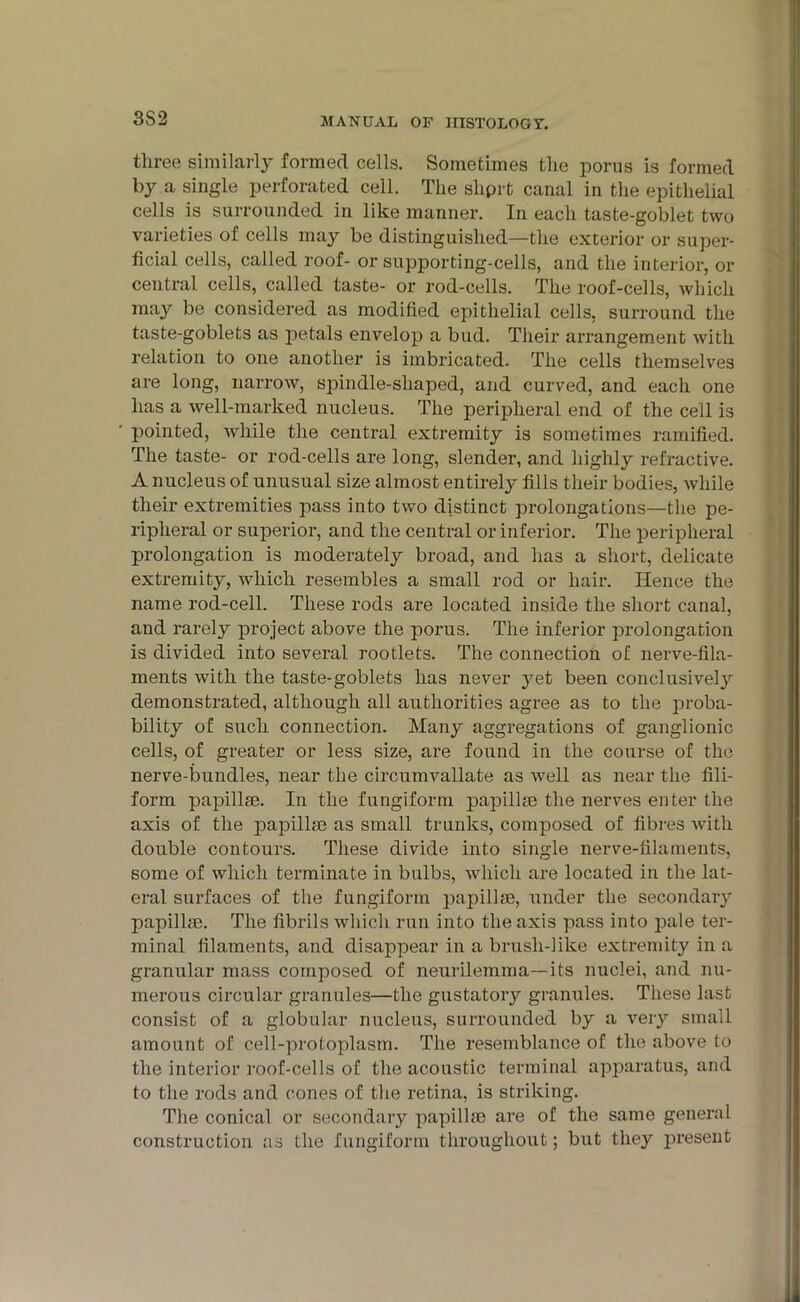 3S2 three similarly formed cells. Sometimes the porus is formed by a single perforated cell. The shprt canal in the epithelial cells is surrounded in like manner. In each taste-goblet two varieties of cells may be distinguished—the exterior or super- ficial cells, called roof- or supporting-cells, and the interior, or central cells, called taste- or rod-cells. The roof-cells, which may be considered as modified epithelial cells, surround the taste-goblets as petals envelop a bud. Their arrangement with relation to one another is imbricated. The cells themselves are long, narrow, spindle-shaped, and curved, and each one has a well-marked nucleus. The peripheral end of the cell is pointed, while the central extremity is sometimes ramified. The taste- or rod-cells are long, slender, and highly refractive. A nucleus of unusual size almost entirely fills their bodies, while their extremities pass into two distinct prolongations—the pe- ripheral or superior, and the central or inferior. The peripheral prolongation is moderately broad, and has a short, delicate extremity, which resembles a small rod or hair. Hence the name rod-cell. These rods are located inside the short canal, and rarely project above the porus. The inferior prolongation is divided into several rootlets. The connection of nerve-fila- ments with the taste-goblets has never yet been conclusively demonstrated, although all authorities agree as to the proba- bility of such connection. Many aggregations of ganglionic cells, of greater or less size, are found in the course of the nerve-bundles, near the circumvallate as well as near the fili- form papillae. In the fungiform papillae the nerves enter the axis of the papillae as small trunks, composed of fibres with double contours. These divide into single nerve-filaments, some of which terminate in bulbs, which are located in the lat- eral surfaces of the fungiform papillae, under the secondary papillae. The fibrils which run into the axis pass into }3ale ter- minal filaments, and disappear in a brush-like extremity in a granular mass composed of neurilemma—its nuclei, and nu- merous circular granules—the gustatory granules. These last consist of a globular nucleus, surrounded by a very small amount of cell-protoplasm. The resemblance of the above to the interior roof-cells of the acoustic terminal apparatus, and to the rods and cones of the retina, is striking. The conical or secondary papillae are of the same general construction as the fungiform throughout; but they present