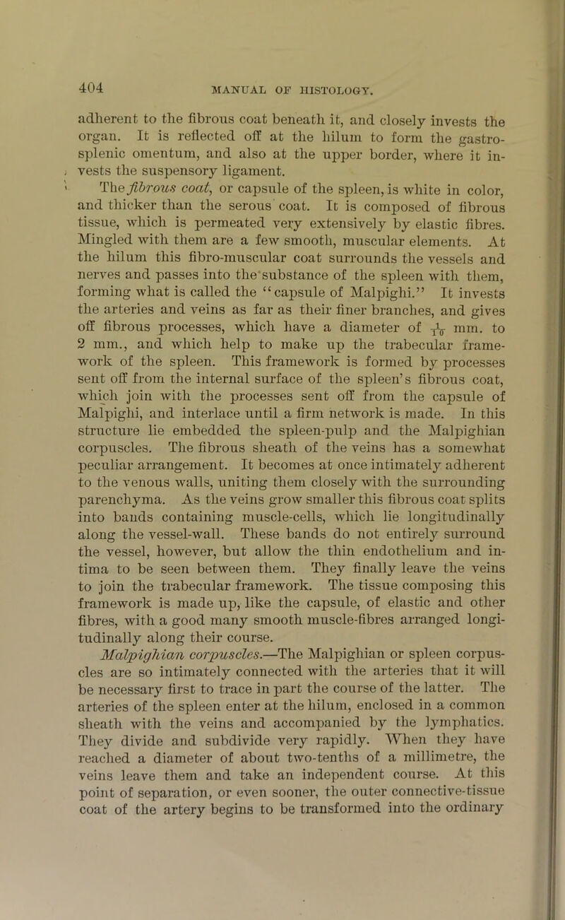 adherent to the fibrous coat beneath it, and closely invests the organ. It is reflected off at the hilum to form the gastro- splenic omentum, and also at the upper border, where it in- vests the suspensory ligament. Thqfibrous coat, or capsule of the spleen, is white in color, and thicker than the serous coat. It is composed of fibrous tissue, which is permeated very extensively by elastic fibres. Mingled with them are a few smooth, muscular elements. At the hilum this fibro-muscular coat surrounds the vessels and nerves and passes into the*substance of the spleen with them, forming what is called the “cajisule of Malpighi.” It invests the arteries and veins as far as their finer branches, and gives off fibrous processes, which have a diameter of ^ mm. to 2 mm., and which help to make up the trabecular frame- work of the spleen. This framework is formed by processes sent off from the internal surface of the spleen’s fibrous coat, which join with the processes sent off from the capsule of Malpighi, and interlace until a firm network is made. In this structure lie embedded the spleen-pulp and the Malpighian corpuscles. The fibrous sheath of the veins has a somewhat peculiar arrangement. It becomes at once intimately adherent to the venous walls, uniting them closely with the surrounding parenchyma. As the veins grow smaller this fibrous coat splits into bands containing muscle-cells, which lie longitudinally along the vessel-wall. These bands do not entirely surround the vessel, however, but allow the thin endothelium and in- tima to be seen between them. They finally leave the veins to join the trabecular framework. The tissue composing this framework is made up, like the capsule, of elastic and other fibres, with a good many smooth muscle-fibres arranged longi- tudinally along their course. Malpighian corpuscles.—The Malpighian or spleen corpus- cles are so intimately connected with the arteries that it will be necessary first to trace in part the course of the latter. The arteries of the spleen enter at the hilum, enclosed in a common sheath with the veins and accompanied by the lymphatics. They divide and subdivide very rapidly. When they have reached a diameter of about two-tenths of a millimetre, the veins leave them and take an independent course. At this point of separation, or even sooner, the outer connective-tissue coat of the artery begins to be transformed into the ordinary