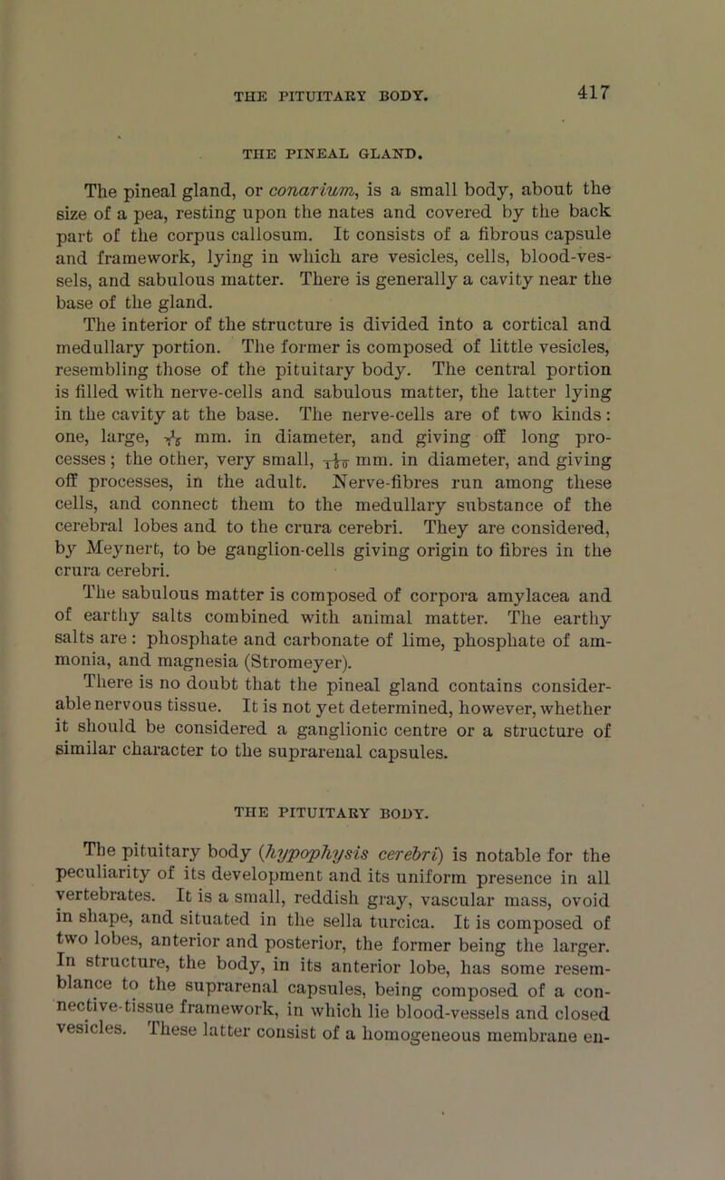 THE PITUITARY BODY. TnE PINEAL GLAND. The pineal gland, or conarium, is a small body, about the size of a pea, resting upon the nates and covered by the back part of the corpus callosum. It consists of a fibrous capsule and framework, lying in which are vesicles, cells, blood-ves- sels, and sabulous matter. There is generally a cavity near the base of the gland. The interior of the structure is divided into a cortical and medullary portion. The former is composed of little vesicles, resembling those of the pituitary body. The central portion is filled with nerve-cells and sabulous matter, the latter lying in the cavity at the base. The nerve-cells are of two kinds: one, large, -fe mm. in diameter, and giving off long pro- cesses ; the other, very small, -j-fo- mm. in diameter, and giving off processes, in the adult. Nerve-fibres run among these cells, and connect them to the medullary substance of the cerebral lobes and to the crura cerebri. They are considered, by Meynert, to be ganglion-cells giving origin to fibres in the crura cerebri. The sabulous matter is composed of corpora amylacea and of earthy salts combined with animal matter. The earthy salts are: phosphate and carbonate of lime, phosphate of am- monia, and magnesia (Stromeyer). There is no doubt that the pineal gland contains consider- able nervous tissue. It is not yet determined, however, whether it should be considered a ganglionic centre or a structure of similar character to the suprarenal capsules. THE PITUITARY BODY. The pituitary body {hypophysis cerebri) is notable for the peculiarity of its development and its uniform presence in all vertebrates. It is a small, reddish gray, vascular mass, ovoid in shape, and situated in the sella turcica. It is composed of two lobes, anterior and posterior, the former being the larger. In stiucture, the body, in its anterior lobe, has some resem- blance to the suprarenal capsules, being composed of a con- nective-tissue framework, in which lie blood-vessels and closed vesicles, these latter consist of a homogeneous membrane en-