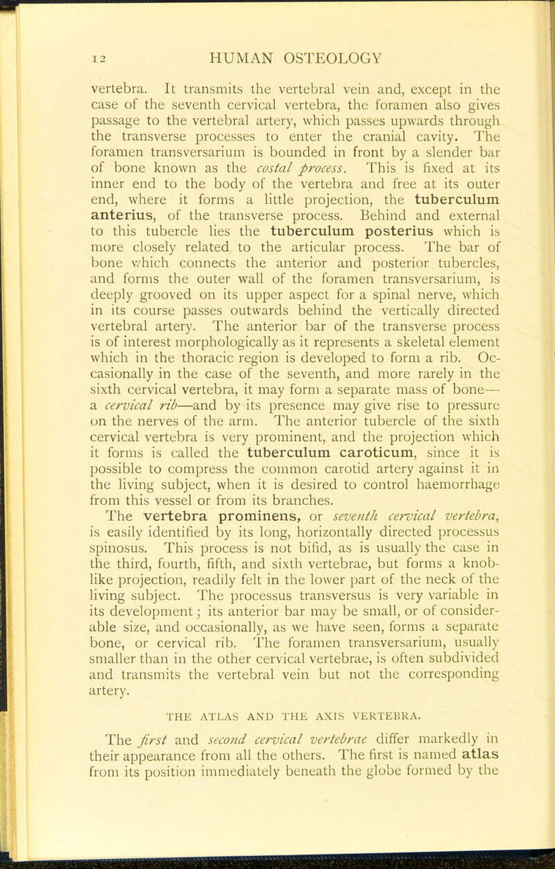 m 12 HUMAN OSTEOLOGY vertebra. It transmits the vertebral vein and, except in the case of the seventh cervical vertebra, the foramen also gives passage to the vertebral artery, which passes upwards through the transverse processes to enter the cranial cavity. The foramen transversarium is bounded in front by a slender bar of bone known as the costal process. This is fixed at its inner end to the body of the vertebra and free at its outer end, where it forms a little projection, the tuberculum anterius, of the transverse process. Behind and external to this tubercle lies the tuberculum posterius which is more closely related to the articular process. The bar of bone which connects the anterior and posterior tubercles, and forms the outer wall of the foramen transversarium, is deeply grooved on its upper aspect for a spinal nerve, which in its course passes outwards behind the vertically directed vertebral artery. The anterior bar of the transverse process is of interest morphologically as it represents a skeletal element which in the thoracic region is developed to form a rib. Oc- casionally in the case of the seventh, and more rarely in the sixth cervical vertebra, it may form a separate mass of bone— a cervical rib—and by its presence may give rise to pressure on the nerves of the arm. The anterior tubercle of the sixth cervical vertebra is very prominent, and the projection which it forms is called the tuberculum caroticum, since it is possible to compress the common carotid artery against it in the living subject, when it is desired to control haemorrhage from this vessel or from its branches. The vertebra prominens, or seventh cervical vertebra, is easily identified by its long, horizontally directed processus spinosus. This process is not bifid, as is usually the case in the third, fourth, fifth, and sixth vertebrae, but forms a knob- like projection, readily felt in the lower part of the neck of the living subject. The processus transversus is very variable in its development j its anterior bar may be small, or of consider- able size, and occasionally, as we have seen, forms a separate bone, or cervical rib. The foramen transversarium, usually smaller than in the other cervical vertebrae, is often subdivided and transmits the vertebral vein but not the corresponding artery. THE ATLAS AND THE AXIS VERTEBRA. The first and second cervical vertebrae differ markedly in their appearance from all the others. The first is named atlas from its position immediately beneath the globe formed by the