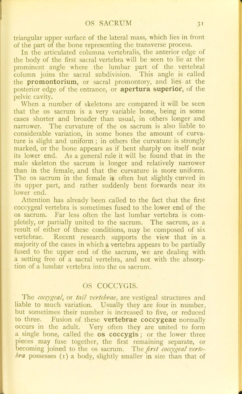 triangular upper surface of the lateral mass, which lies in front of the part of the bone representing the transverse process. In the articulated columna vertebralis, the anterior edge of the body of the first sacral vertebra will be seen to lie at the prominent angle where the lumbar part of the vertebral column joins the sacral subdivision. This angle is called the promontorium, or sacral promontory, and lies at the posterior edge of the entrance, or apertura superior, of the pelvic cavity. When a number of skeletons are compared it will be seen that the os sacrum is a very variable bone, being in some cases shorter and broader than usual, in others longer and narrower. The curvature of the os sacrum is also liable to considerable variation, in some bones the amount of curva- ture is slight and uniform; in others the curvature is strongly marked, or the bone appears as if bent sharply on itself near its lower end. As a general rule it will be found that in the male skeleton the sacrum is longer and relatively narrower than in the female, and that the curvature is more uniform. The os sacrum in the female is often but slightly curved in its upper part, and rather suddenly bent forwards near its lower end. Attention has already been called to the fact that the first coccygeal vertebra is sometimes fused to the lower end of the os sacrum. Far less often the last lumbar vertebra is com- pletely, or partially united to the sacrum. The sacrum, as a result of either of these conditions, may be composed of six vertebrae. Recent research supports the view that in a majority of the cases in which a vertebra appears to be partially fused to the upper end of the sacrum, we are dealing with a setting free of a sacral vertebra, and not with the absorp- tion of a lumbar vertebra into the os .sacrum. OS COCCYGIS. The coccygeal, or tail vertebrae, are vestigeal structures and liable to much variation. Usually they are four in number, but sometimes their number is increased to five, or reduced to three. Fusion of these vertebrae coccygeae normally occurs in the adult. Very often they are united to form a single bone, called the os coccygis j or the lower three pieces may fuse together, the first remaining separate, or becoming joined to the os sacrum. The first coccygeal verte- bra possesses (i) a body, slightly smaller in size than that of