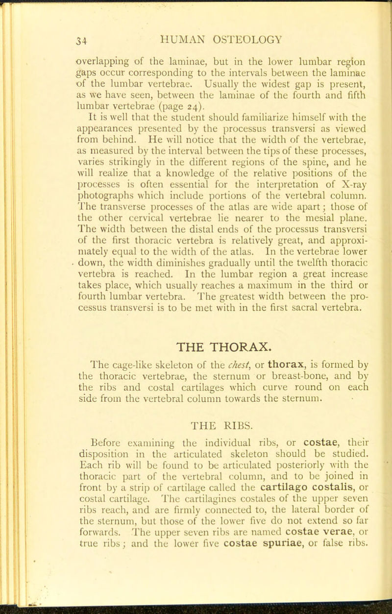 overlapping of the laminae, but in the lower lumbar region gaps occur corresponding to the intervals between the laminae of the lumbar vertebrae. Usually the widest gap is present, as we have seen, between the laminae of the fourth and fifth lumbar vertebrae (page 24). It is well that the student should familiarize himself with the appearances presented by the processus transversi as viewed from behind. He will notice that the width of the vertebrae, as measured by the interval between the tips of these processes, varies strikingly in the different regions of the spine, and he will realize that a knowledge of the relative positions of the processes is often essential for the interpretation of X-ray photographs which include portions of the vertebral column. The transverse processes of the atlas are wide apart; those of the other cervical vertebrae lie nearer to the mesial plane. The width between the distal ends of the processus transversi of the first thoracic vertebra is relatively great, and approxi- mately equal to the width of the atlas. In the vertebrae lower down, the width diminishes gradually until the twelfth thoracic vertebra is reached. In the lumbar region a great increase takes place, which usually reaches a maximum in the third or fourth lumbar vertebra. The greatest width between the pro- cessus transversi is to be met with in the first sacral vertebra. THE THORAX. The cage-like skeleton of the chesty or thorax, is formed by the thoracic vertebrae, the sternum or breast-bone, and by the ribs and costal cartilages which curve round on each side from the vertebral column towards the sternum. THE RIBS. Before e.xamining the individual ribs, or costae, their disposition in the articulated skeleton should be studied. Each rib will be found to be articulated posteriorly with the thoracic part of the vertebral column, and to be joined in front by a strip of cartilage called the cartilago costalis, or costal cartilage. The cartilagines costales of the upper seven ribs reach, and are firmly connected to, the lateral border of the sternum, but those of the lower five do not extend so far forwards. The upper seven ribs are named costae verae, or true ribs; and the lower five costae spuriae, or false ribs.