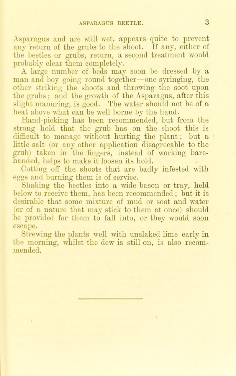 Asparagus and are still wet, appears quite to prevent any return of the grubs to the shoot. If any, either of the beetles or gi-ubs, return, a second treatment would probably clear them completely. A large number of beds may soon he dressed by a man and boy going round together—one syringing, the other striking the shoots and throwing the soot upon the grubs ; and the growth of the Asparagus, after this slight manuring, is good. The water should not be of a heat above what can be well borne by the hand. Hand-picking has been recommended, but from the strong hold that the grub has on the shoot this is difldcult to manage without hurting the plant; but a little salt (or any other application disagreeable to the grub) taken in the fingers, instead of working bare- handed, helps to make it loosen its hold. Cutting off the shoots that are badly infested with eggs and burning them is of service. Shaking the beetles into a wide bason or tray, held below to receive them, has been recommended ; but it is desirable that some mixture of mud or soot and water (or of a nature that may stick to them at once) should be provided for them to fall into, or they would soon escape. Strewing the plants well with unslaked lime early in the morning, whilst the dew is still on, is also recom- mended.