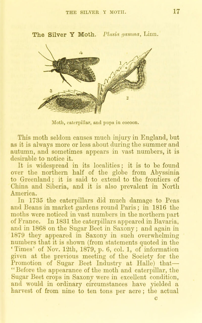 The Silver Y Moth. Plmia iiamwa, Liuii. Moth, caterpillar, and pupa in cocoon. This moth seldom causes much injury in England, but as it is always more or less about during the summer and autumn, and sometimes appears in vast numbers, it is desirable to notice it. It is widespread in its localities; it is to be found over the northern half of the globe from Abyssinia to Greenland; it is said to extend to the frontiers of China and Siberia, and it is also prevalent in North America. In 1735 the caterpillars did much damage to Peas and Beans in market gardens round Paris; in 1816 the moths were noticed in vast numbers in the northern part of France. In 1831 the caterpillars appeared in Bavaria, and in 1868 on the Sugar Beet in Saxony; and again in 1879 they appeared in Saxony in such overwhelming numbers that it is shown (from statements quoted in the ‘Times’ of Nov. 12th, 1879, p. 6, col. 1, of information given at the previous meeting of the Society for the Promotion of Sugar Beet Industry at Halle) that— “Before the appearance of the moth and caterpillar, the Sugar Beet crops in Saxony were in excellent condition, and would in ordinary circumstances have yielded a harvest of from nine to ten tons per acre ; the actual c