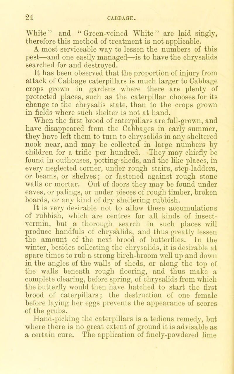 White ” and “ Green-veined White ” are laid singly, therefore this method of treatment is not applicable. A most serviceable way to lessen the numbers of this pest—and one easily managed—is to have the chrysalids searched for and destroyed. It has been observed that the proportion of injury from attack of Cabbage caterpillars is much larger to Cabbage crops grown in gardens where there are plenty of protected places, such as the caterpillar chooses for its change to the chiysalis state, than to the crops grown in fields where such shelter is not at hand. When the first brood of caterpillars are full-grown, and have disappeared from the Cabbages in early summer, they have left them to turn to chrysalids in any sheltered nook near, and may be collected in large numbers by children for a trifle per hundred. They may chieflj’^ be found in outhouses, potting-sheds, and the hke places, in every neglected corner, under rough stairs, step-ladders, or beams, or shelves; or fastened against rough stone walls or mortar. Out of doors they may be found under eaves, or palings, or under pieces of rough timber, broken boards, or any kind of dry sheltering rubbish. It is very desirable not to allow these accumulations of rubbish, which are centres for all kinds of insect- vermin, but a thorough search in such places will produce handfuls of chrj-salids, and thus greatlj^ lessen the amount of the next brood of butterflies. In the winter, besides collecting the chrysalids, it is desh-able at spare times to rub a strong birch-broom well up and down in the angles of the walls of sheds, or along the top of the walls beneath rough flooring, and thus make a complete clearing, before spring, of chiysalids from which the butterfly would then have hatched to start the first brood of caterpillars; the destruction of one female before laying her eggs prevents the appearance of scores of the grubs. Hand-picking the caterpillars is a tedious remed3', but where there is no great extent of ground it is advisable as a certain cure. The application of finely-powdered lime